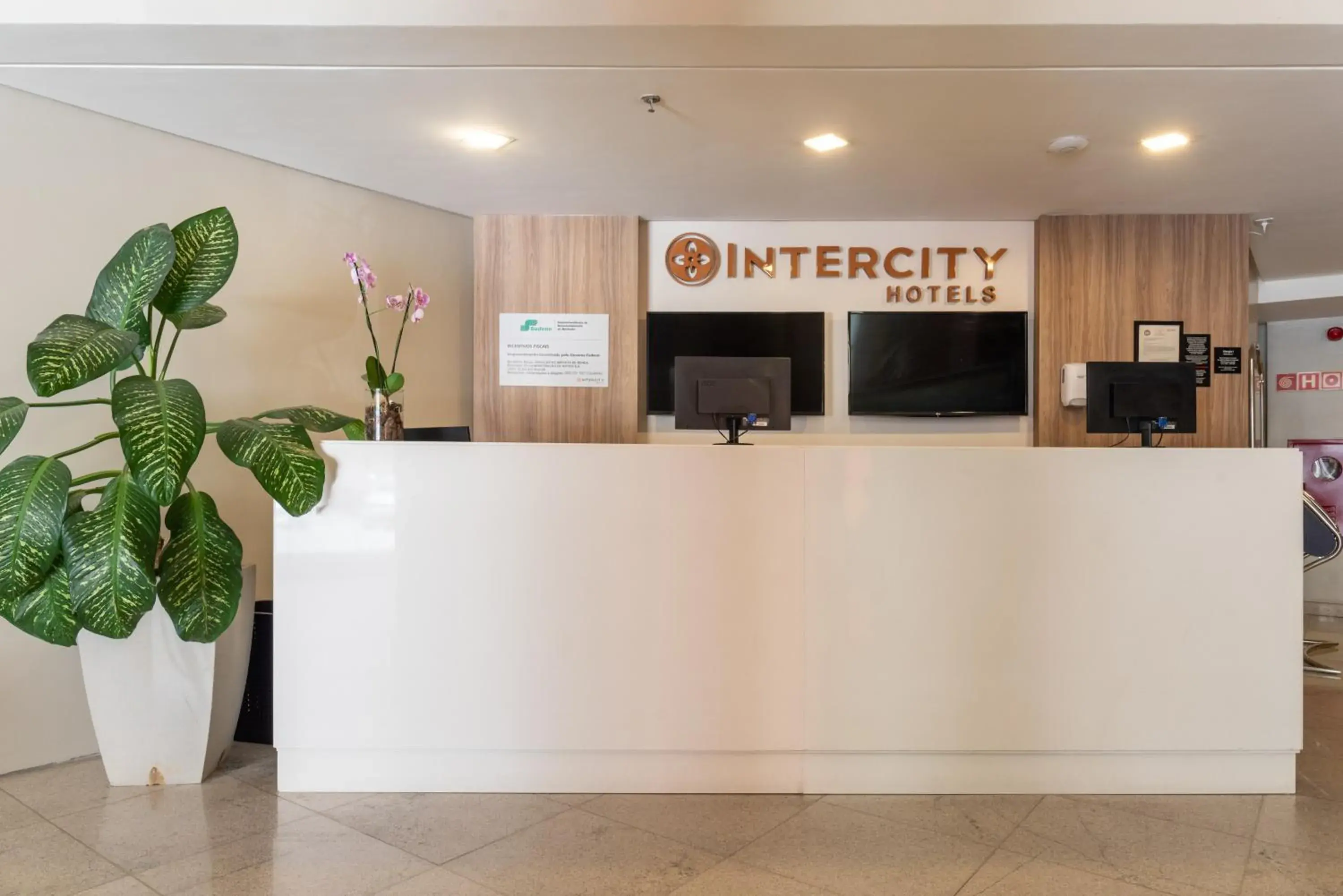 Lobby or reception in Intercity Maceio Lobby or reception in Intercity Maceio
