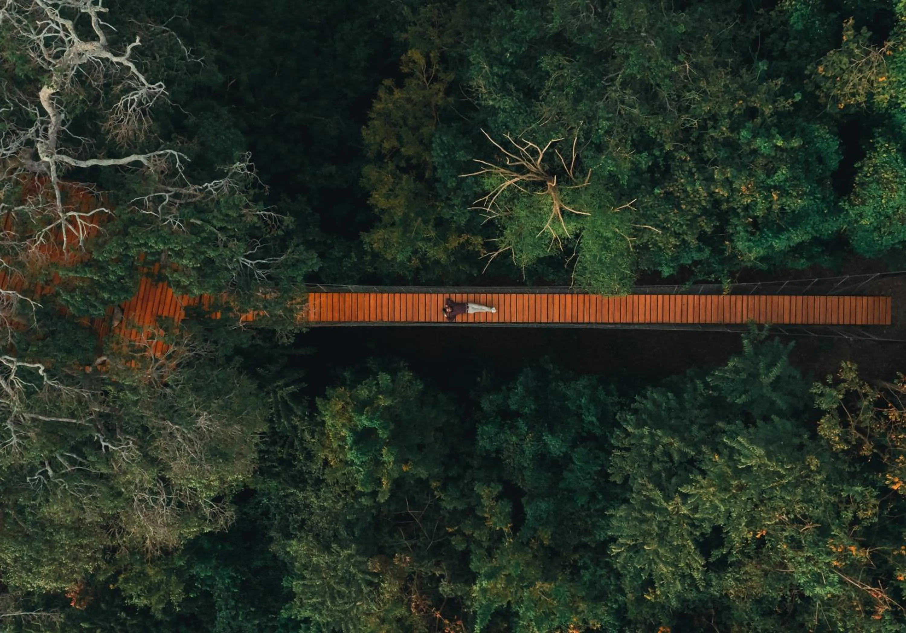 View (from property/room) in TreeCasa Hotel & Resort Nicaragua