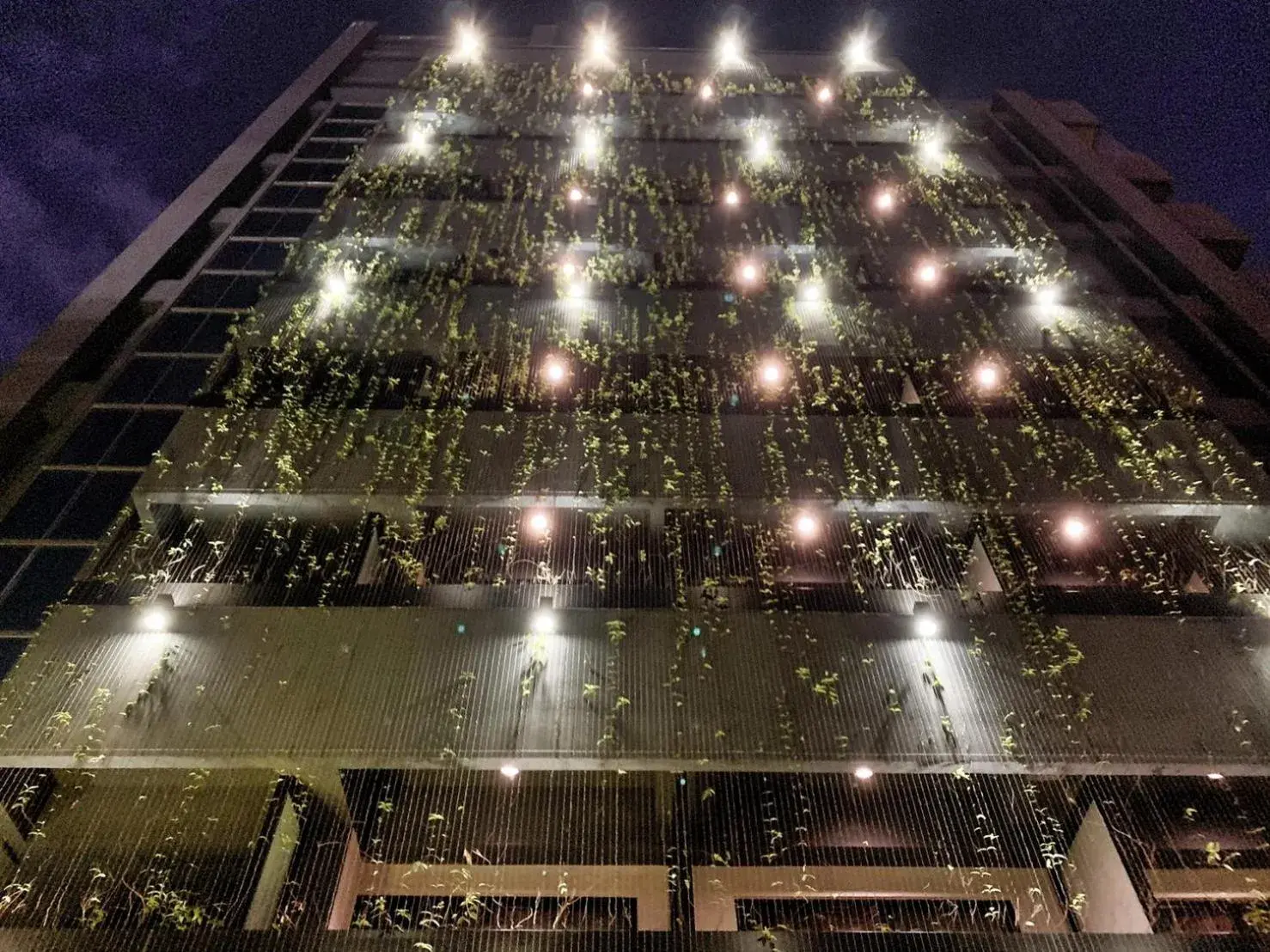 Property building in Mega Hotel Property building in Mega Hotel