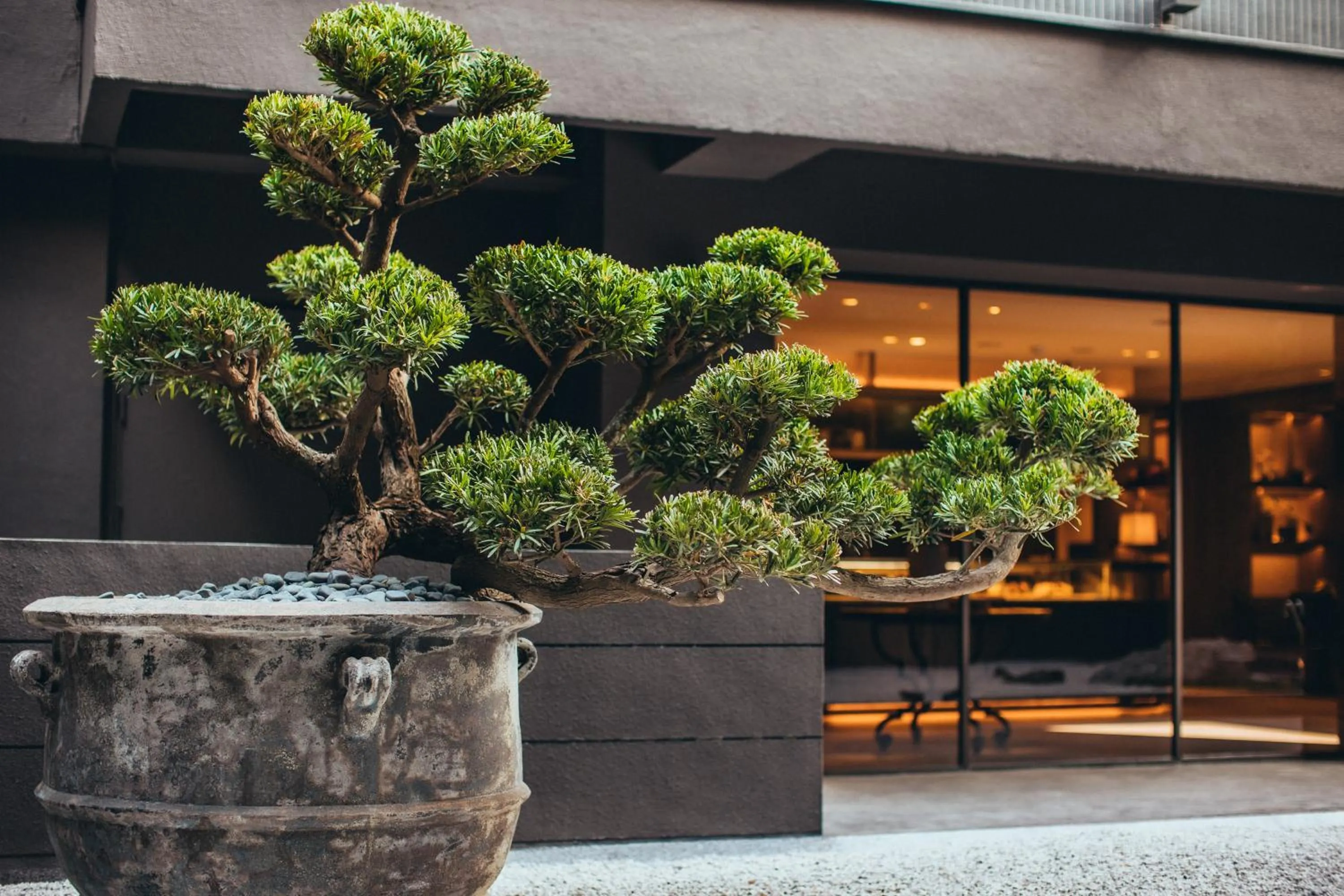 Garden in Mega Hotel