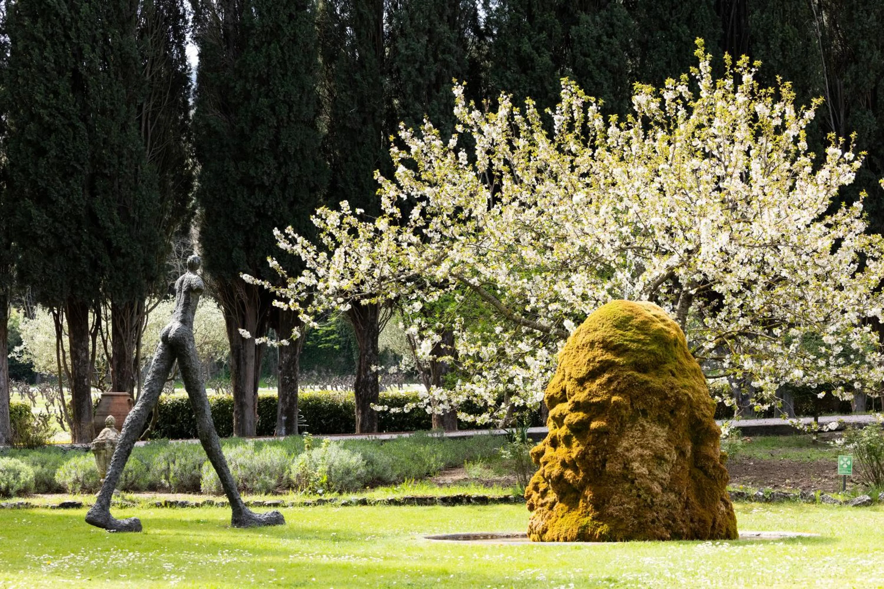 Garden view in Hostellerie De L'abbaye De La Celle - Teritoria