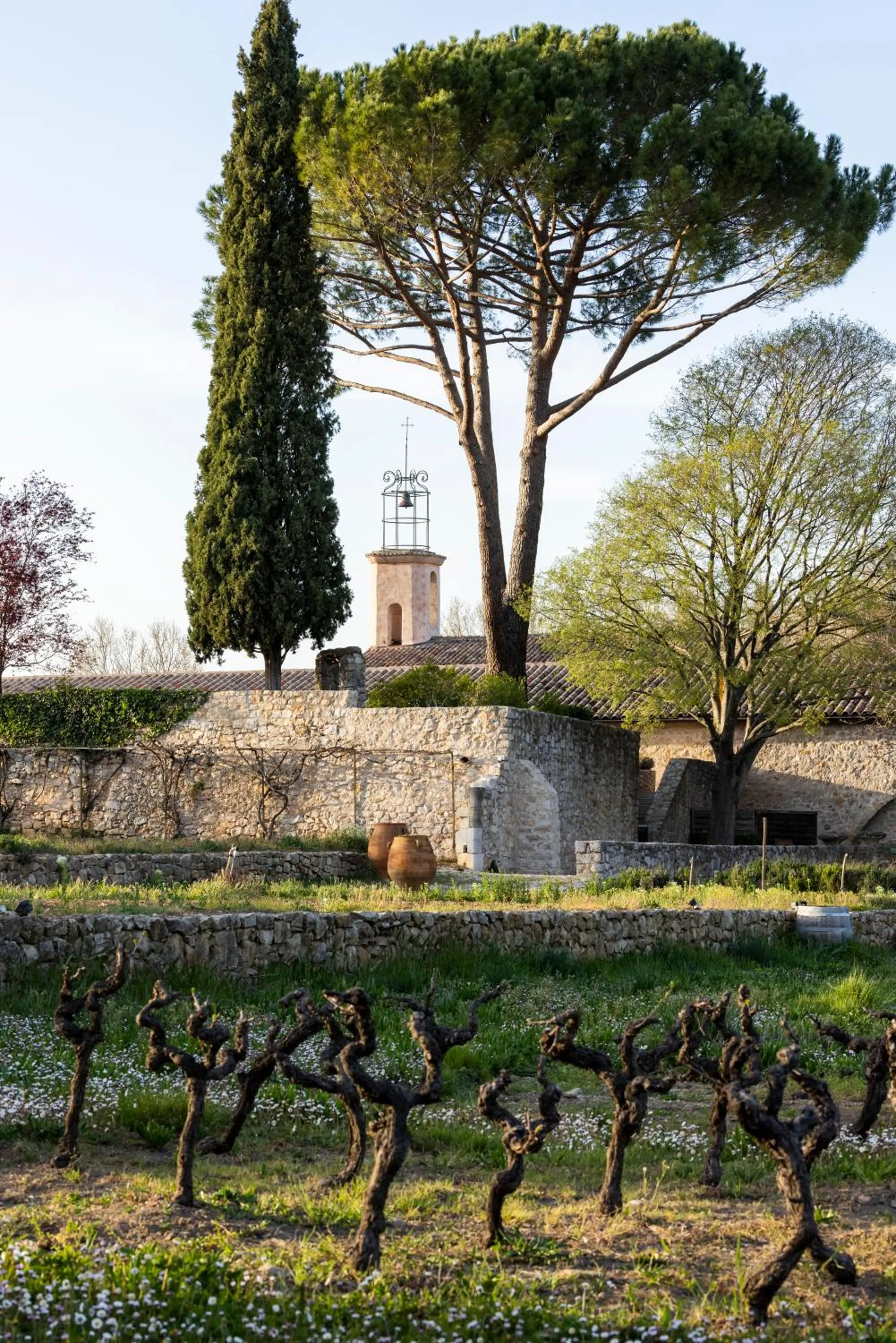 Garden view in Hostellerie De L'abbaye De La Celle - Teritoria