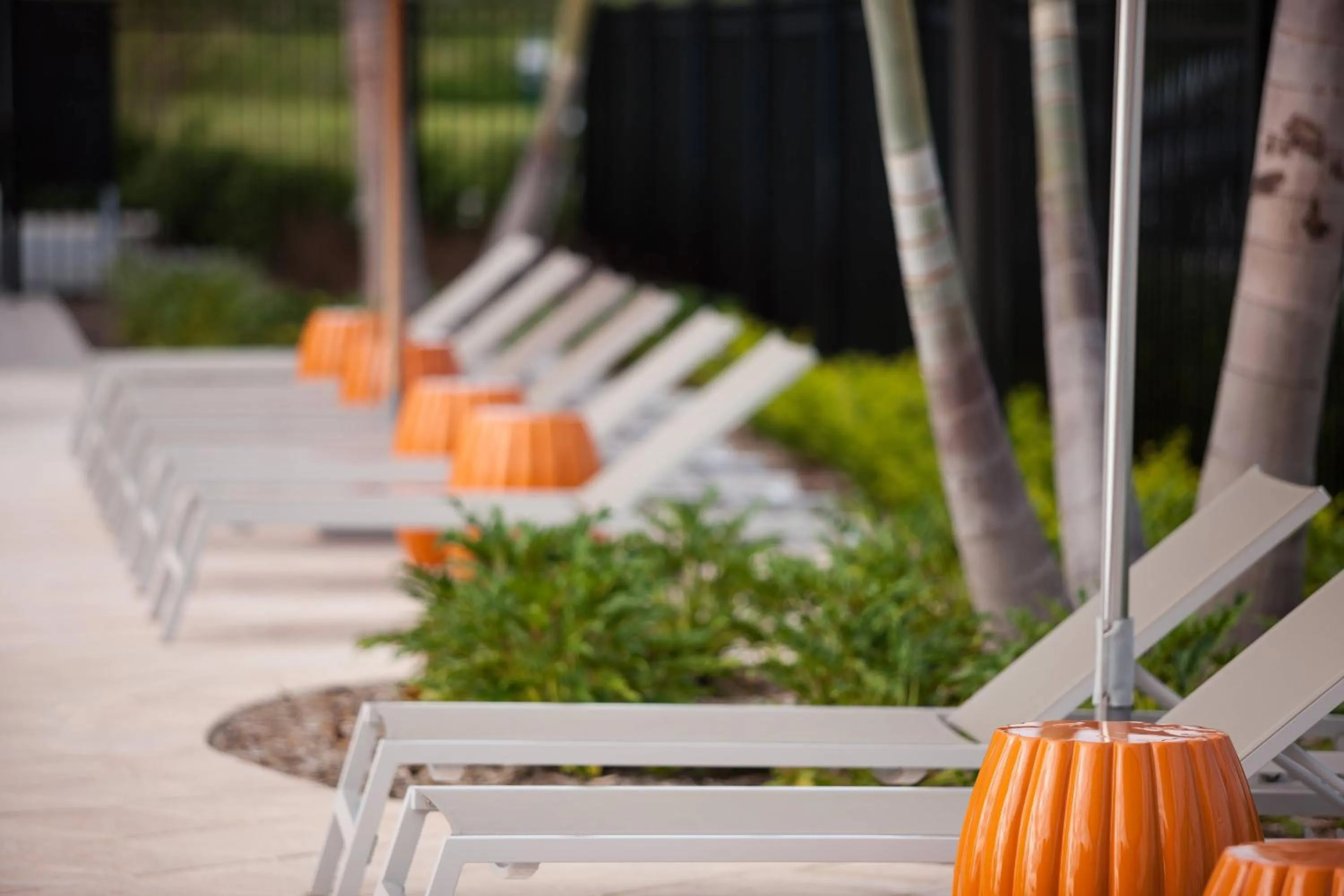 Swimming pool in TownePlace Suites by Marriott Orlando at SeaWorld