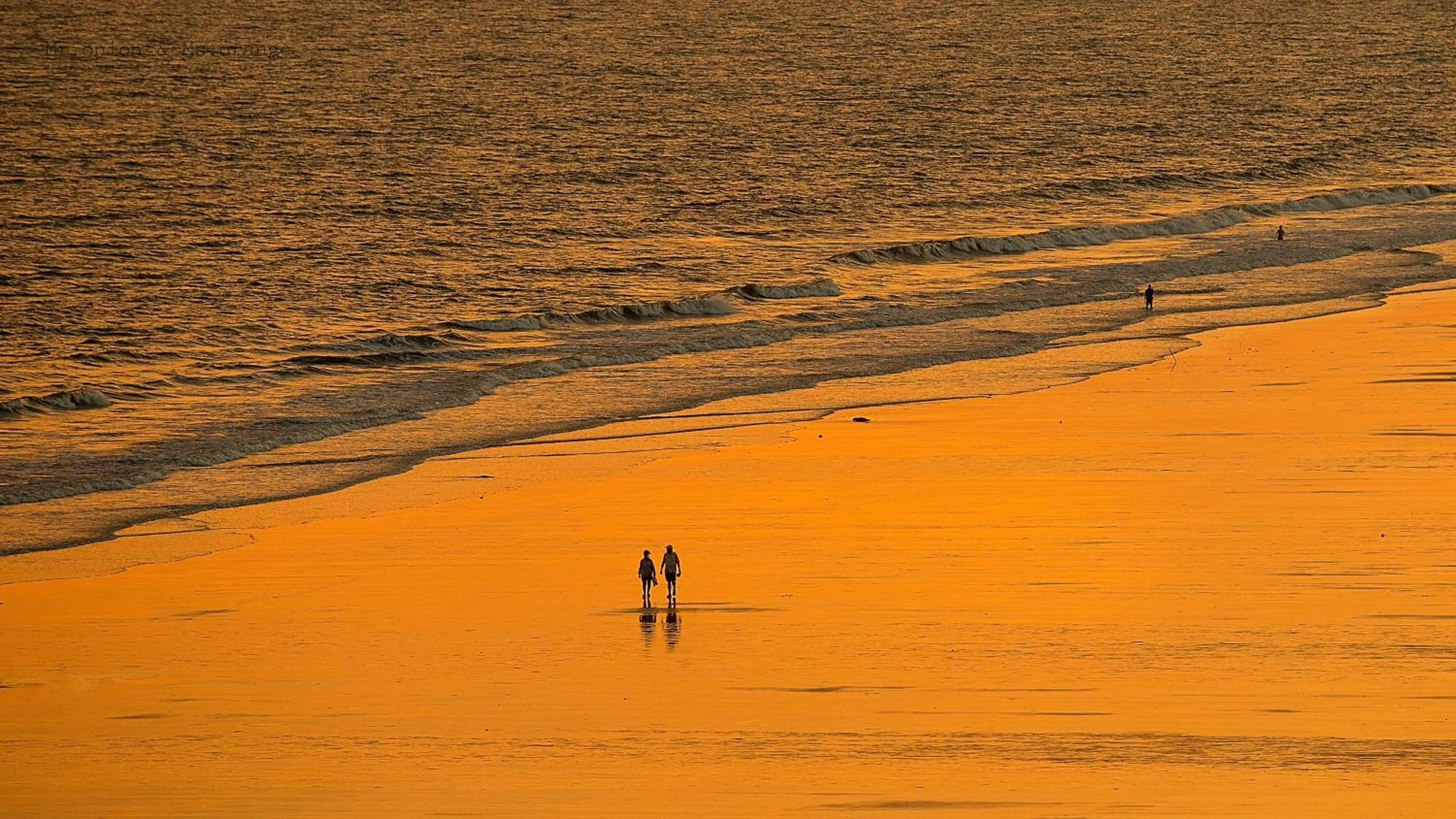 Beach in Patio Moonlight