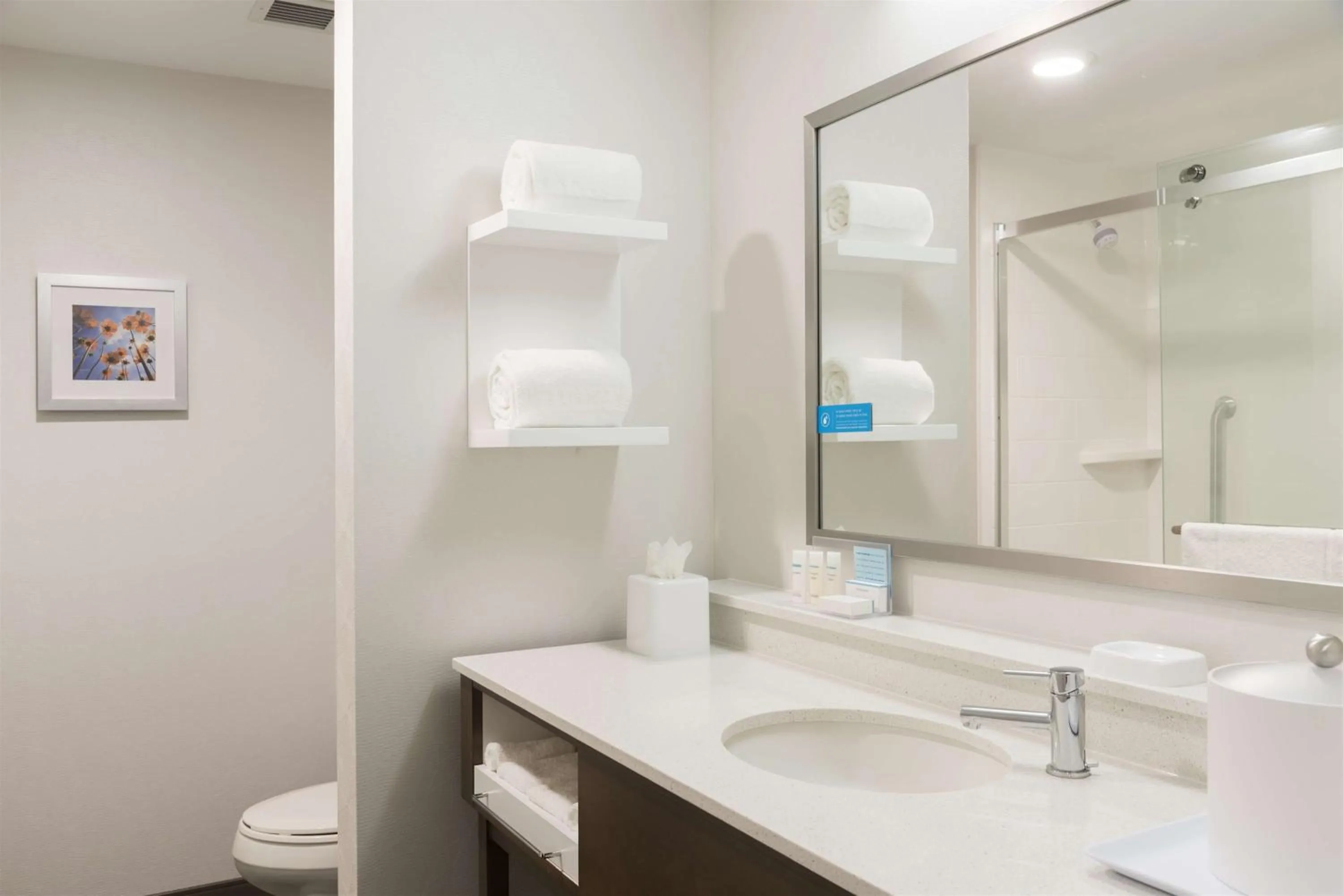 Bathroom in Hampton Inn Westfield Indianapolis