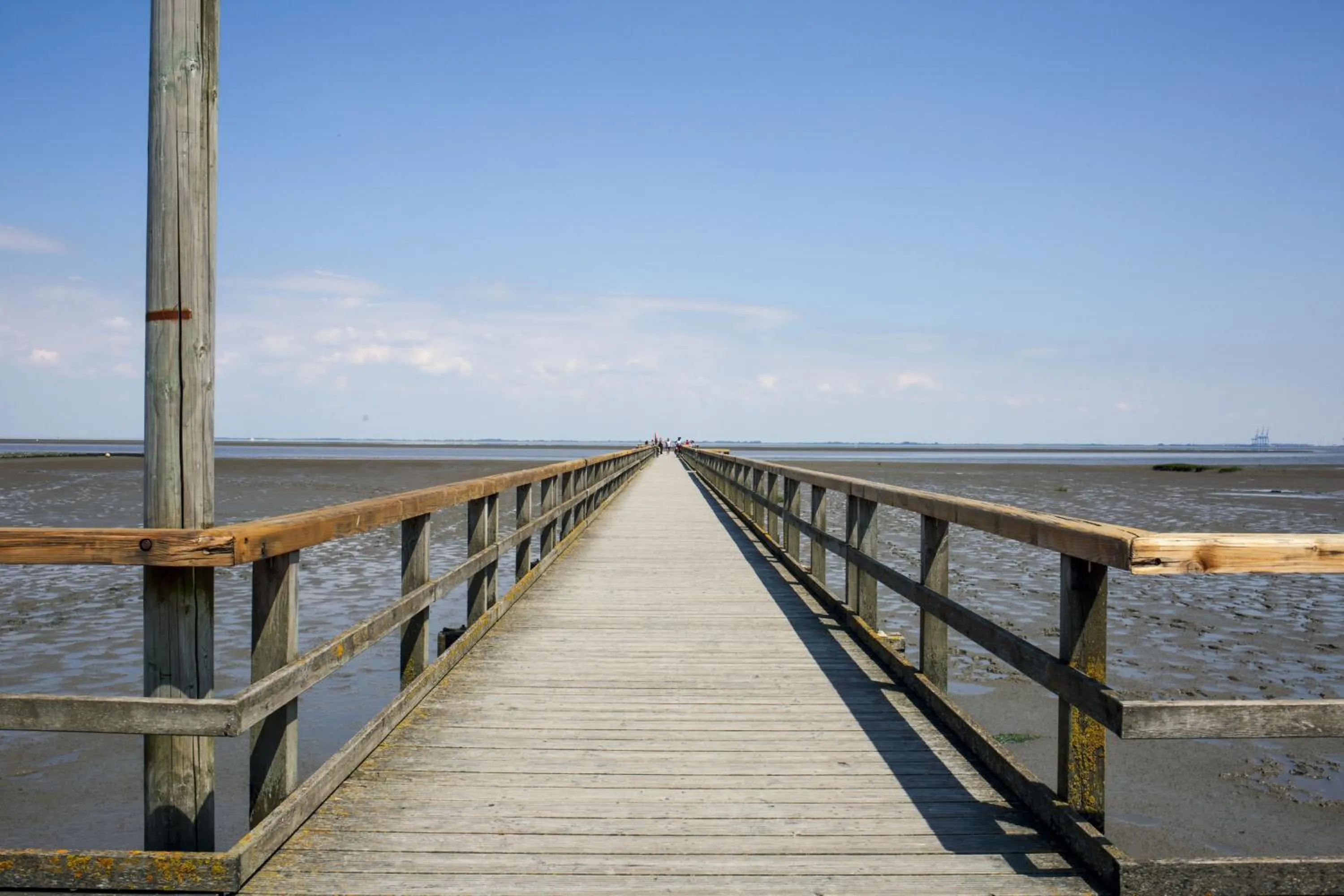 Natural landscape in Butjadinger Hof