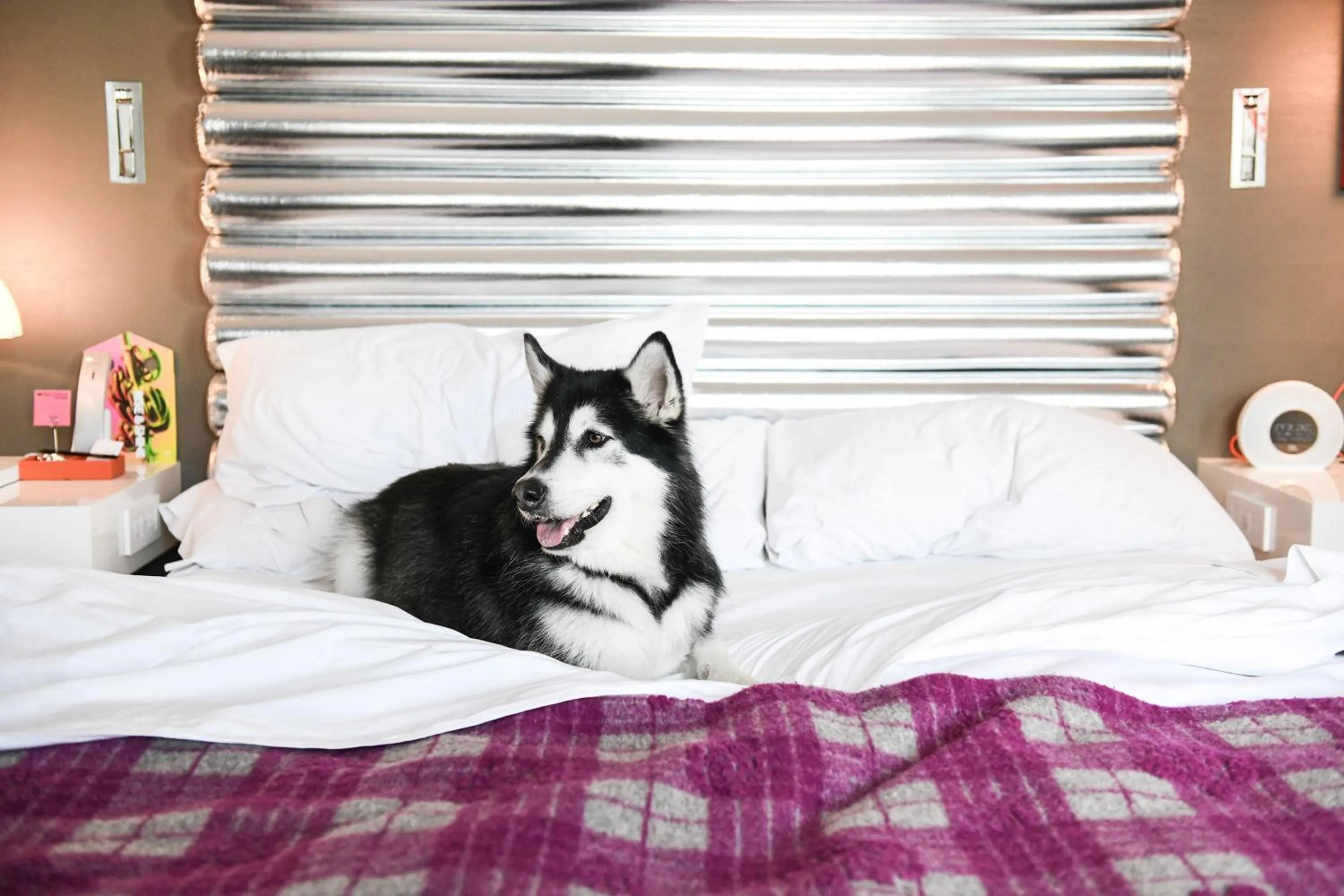 Other, Bed in W Bellevue