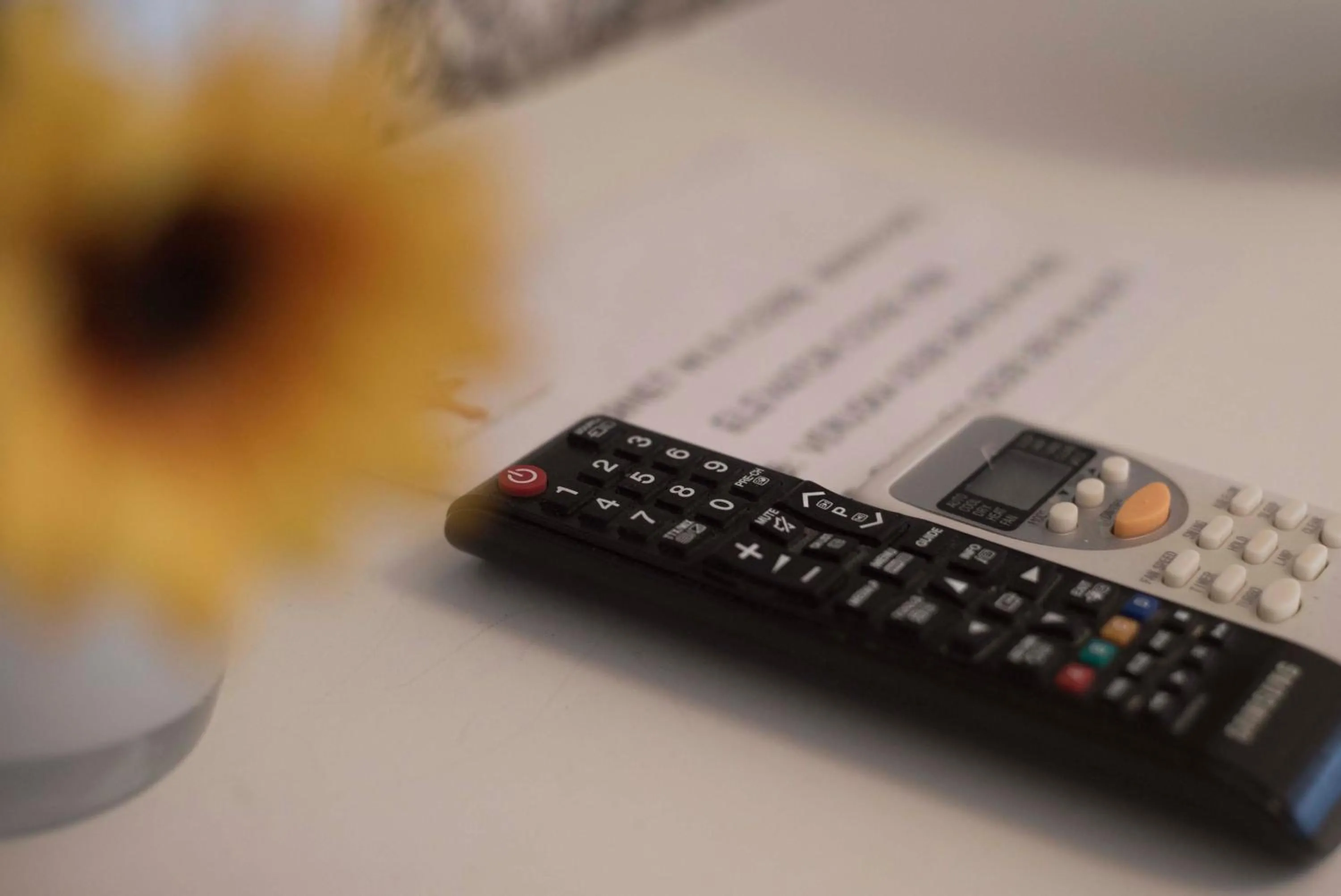 Property building in Barberini Dream