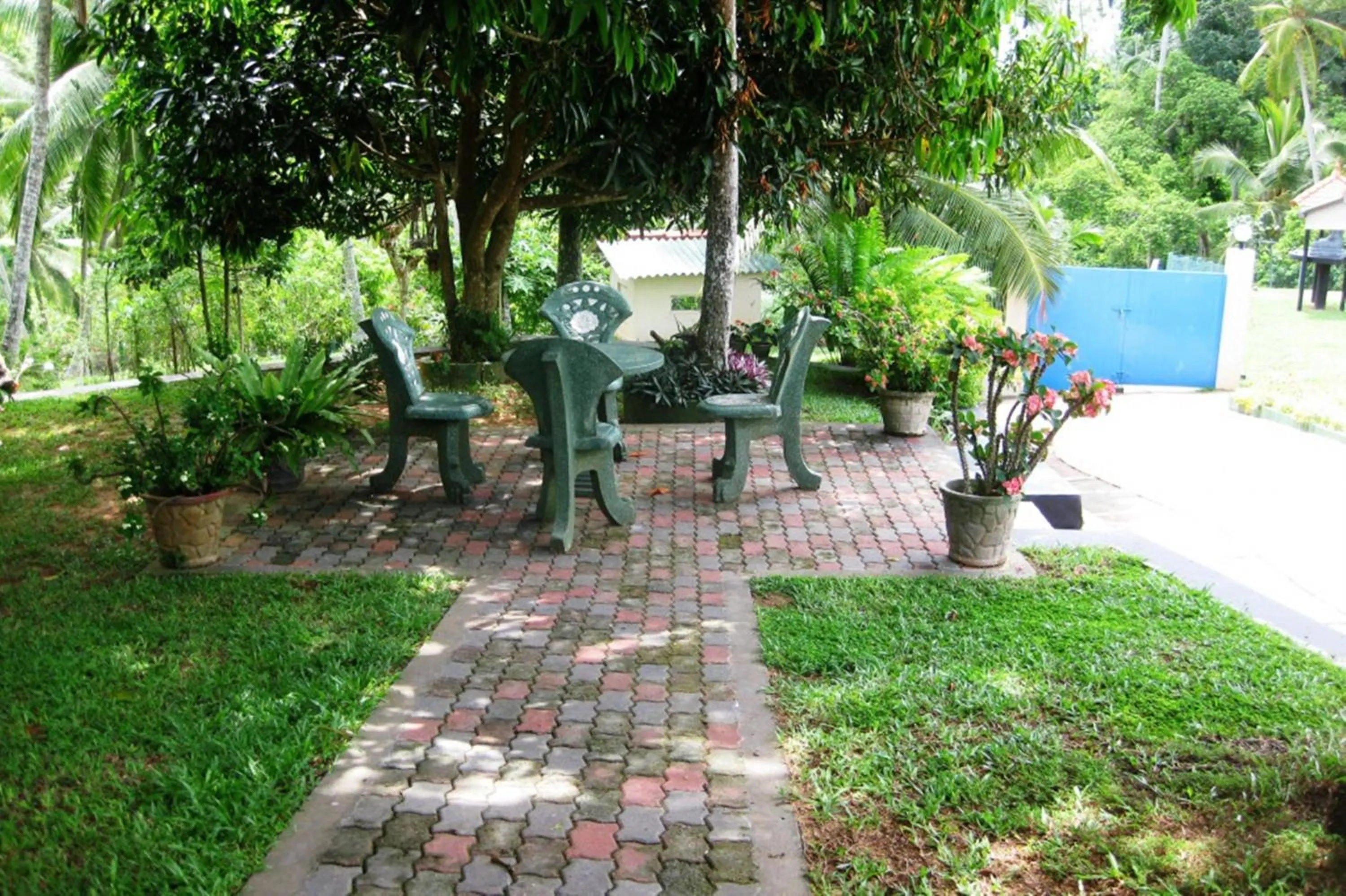 Garden view in The Hilltop Boosa