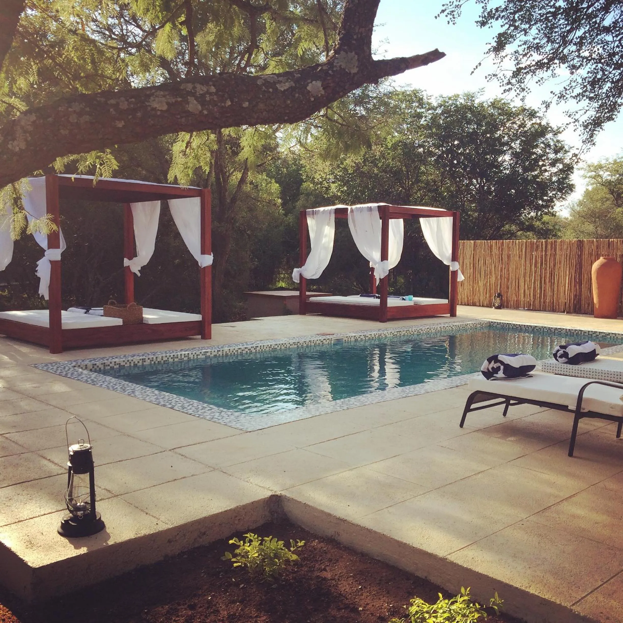 Swimming pool in Bushbaby River Lodge