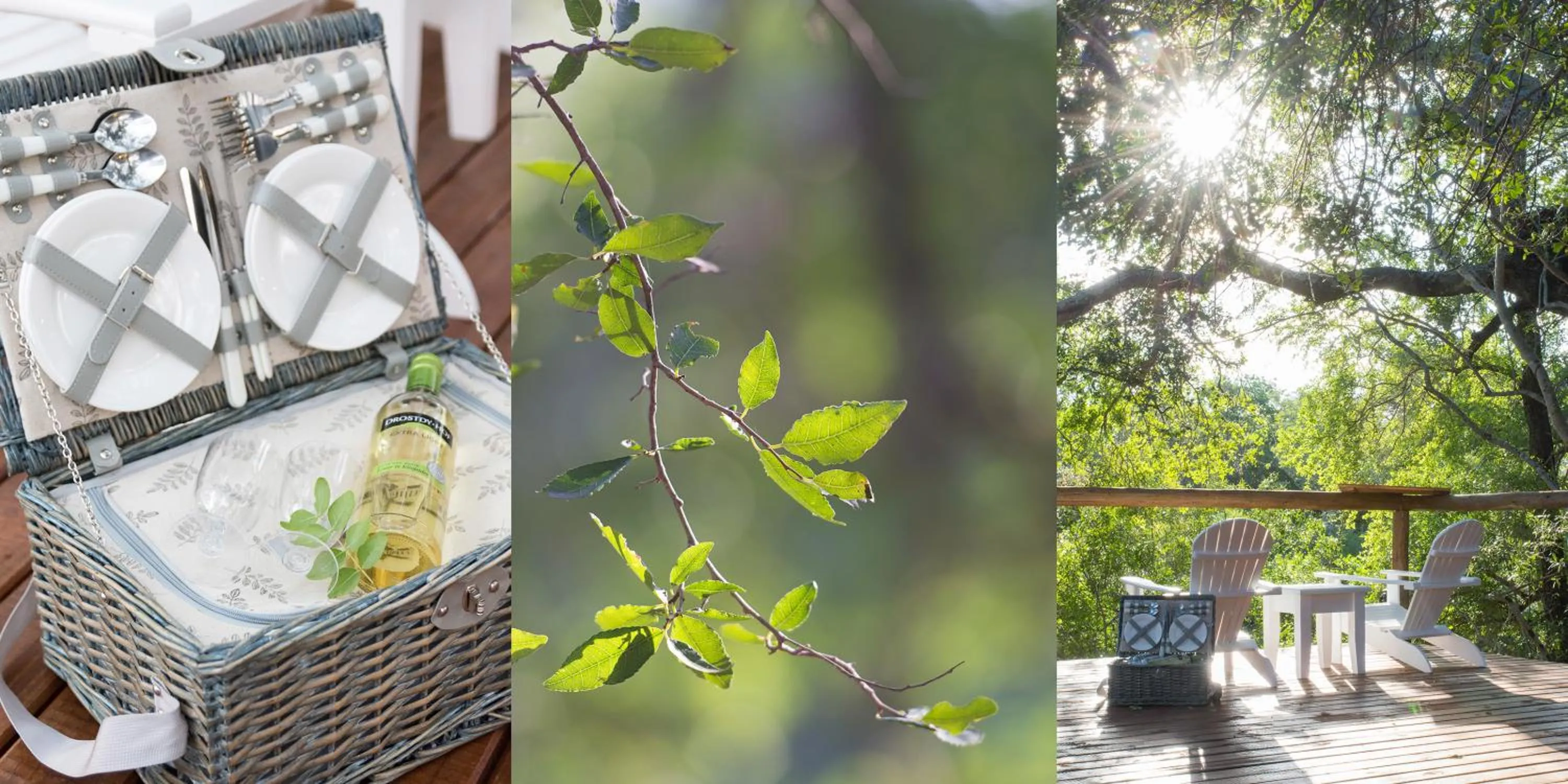 Garden in Bushbaby River Lodge