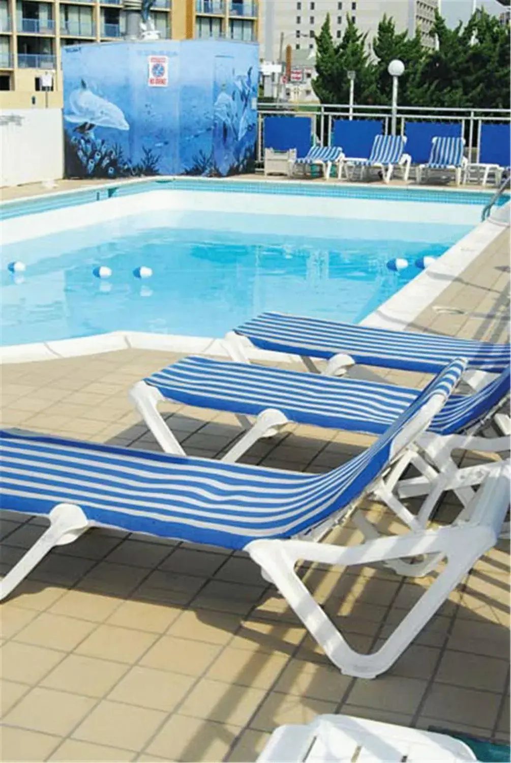 Swimming pool in The Schooner Inn Swimming pool in The Schooner Inn