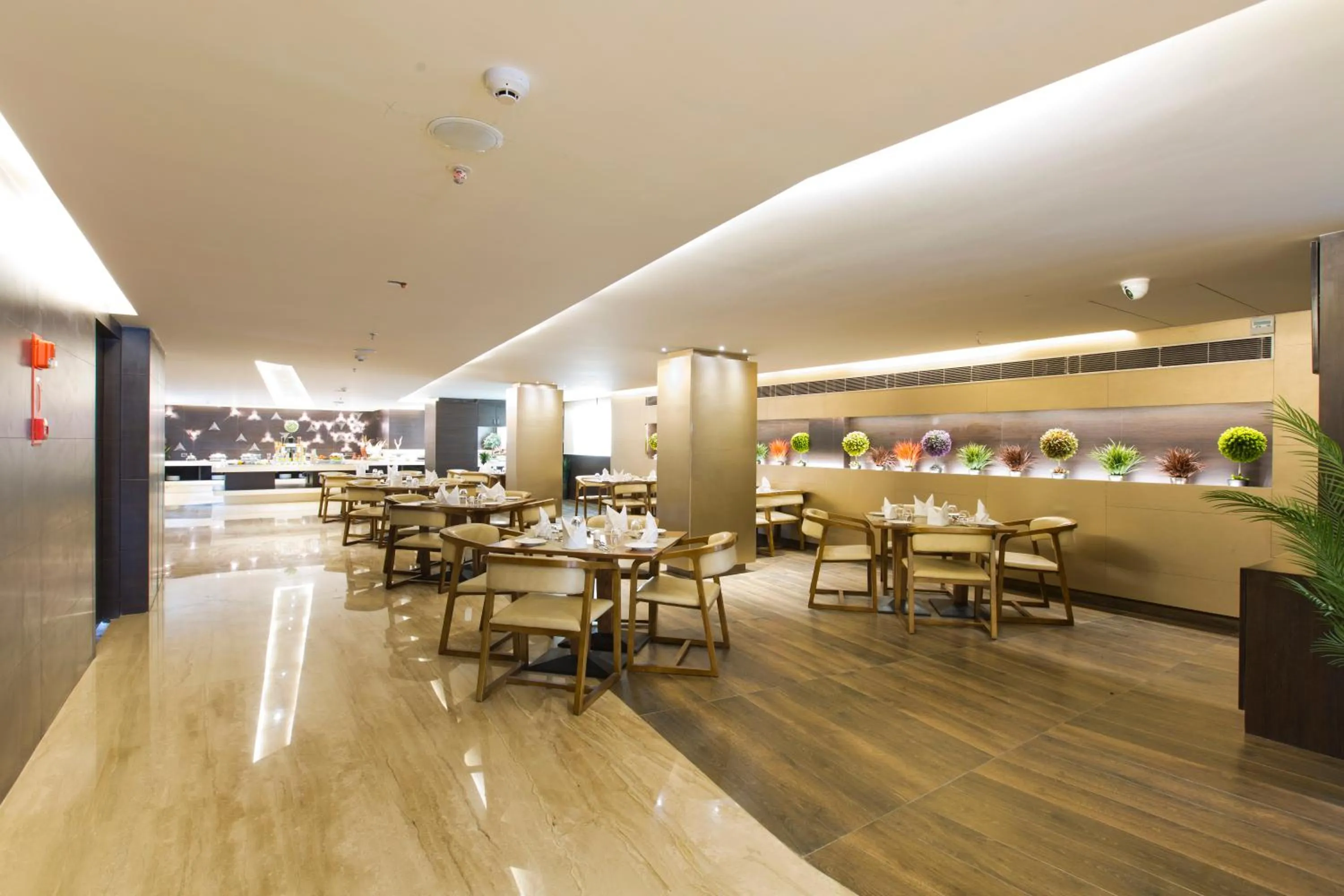 Restaurant/places to eat in Attide Hotel