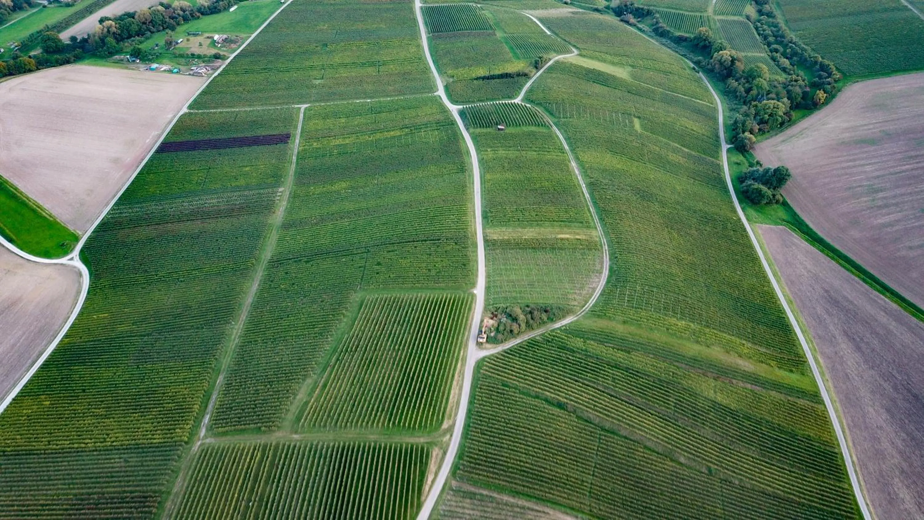 Natural landscape in Pension Breitenauer See