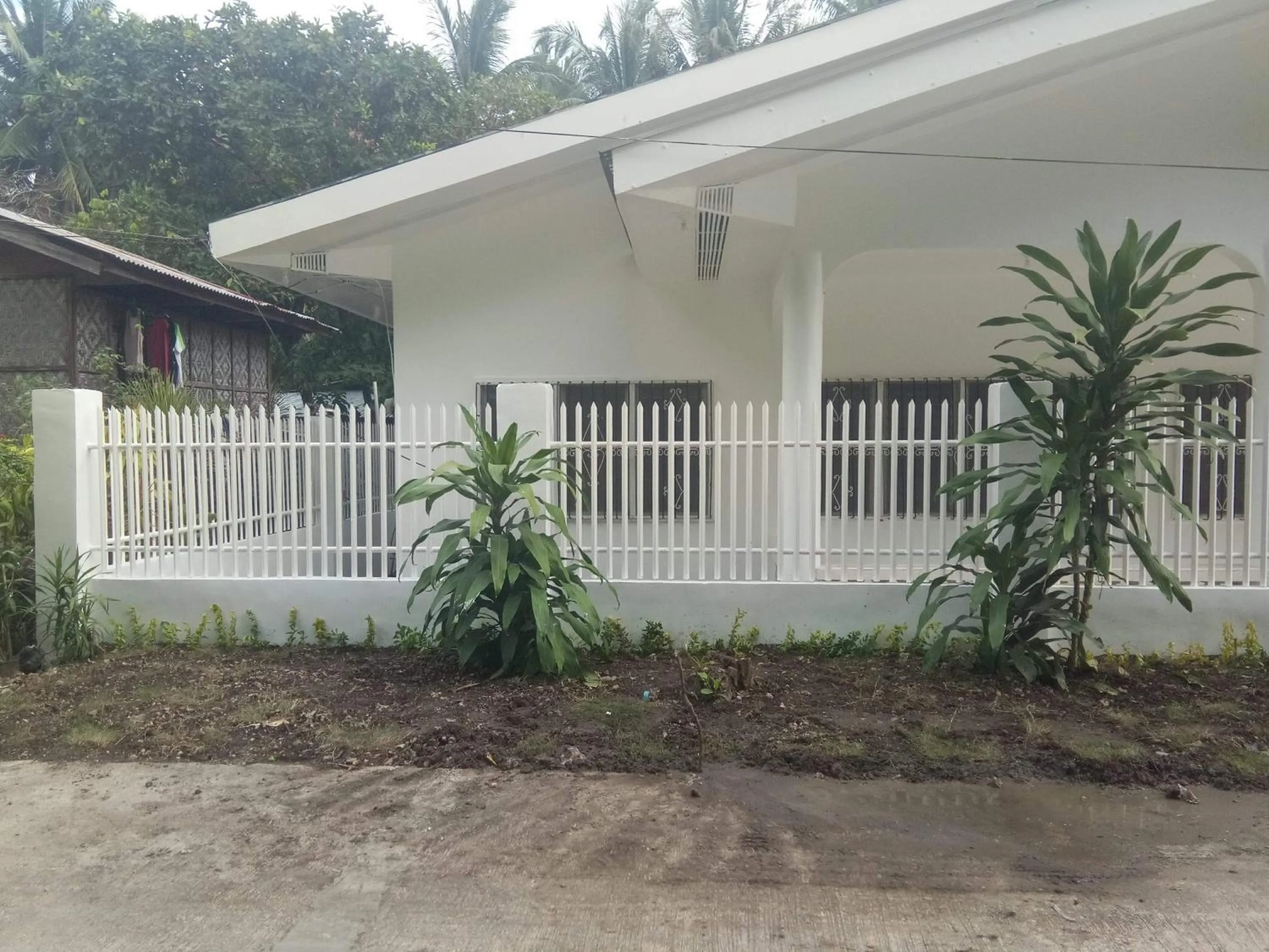 Luna Oslob Travellers Inn