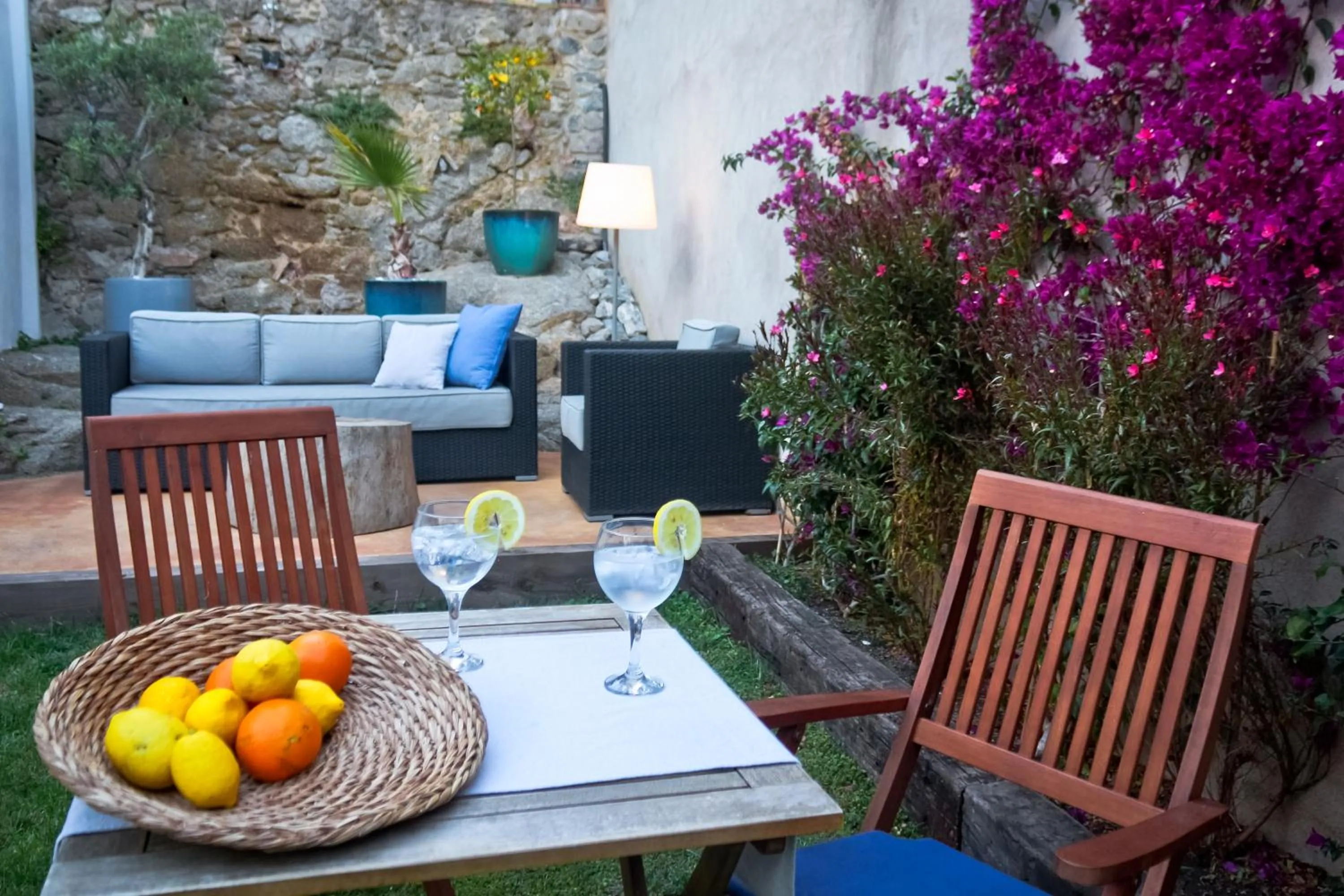 Garden in Hotel Casa Calella