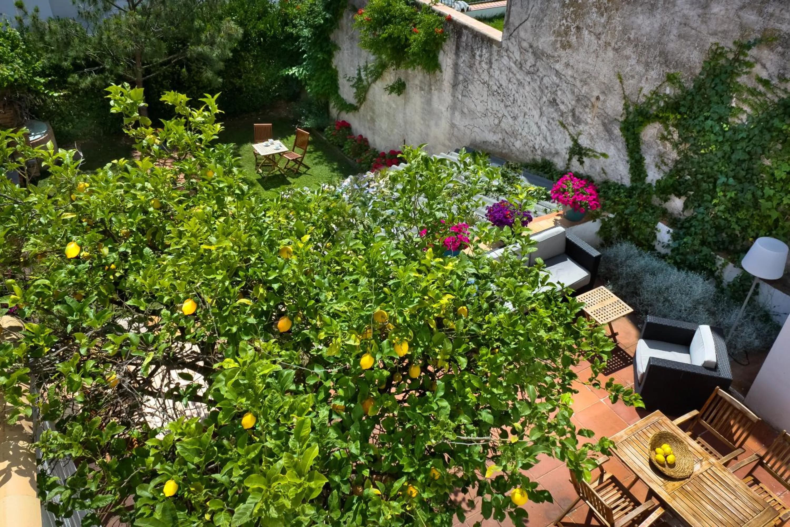 Patio in Hotel Casa Calella