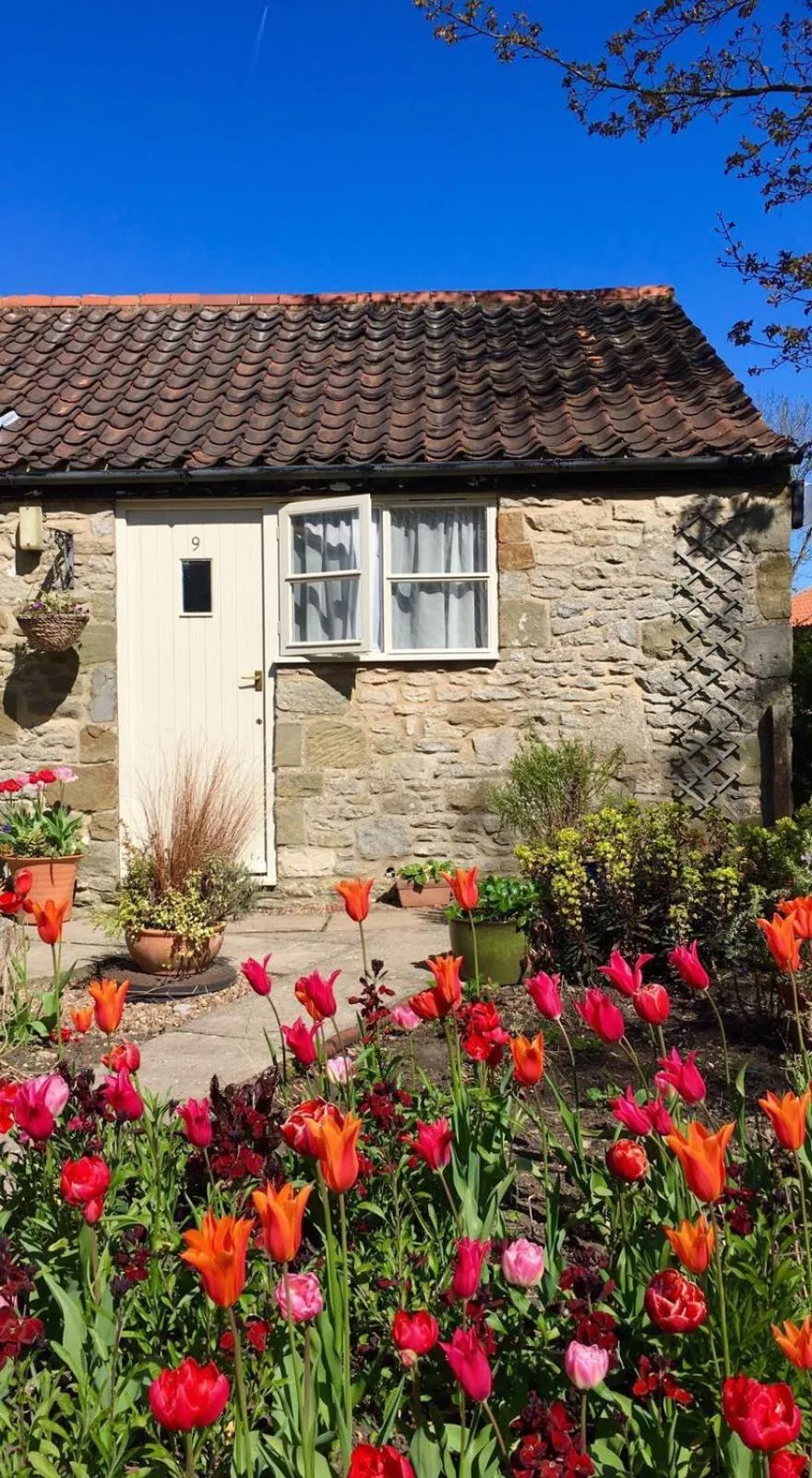 Patio in The Horseshoe Country Inn