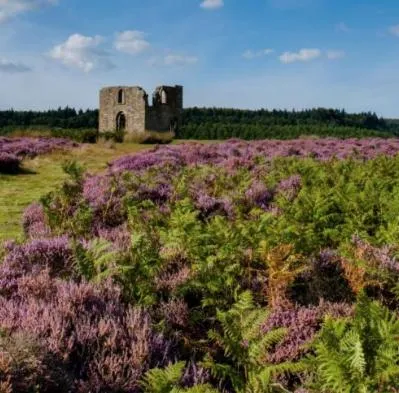 Nearby landmark in The Horseshoe Country Inn