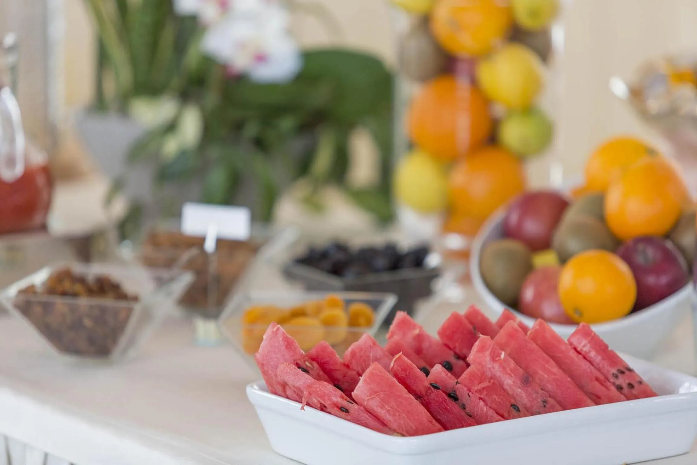 Food and drinks in Hotel Maja