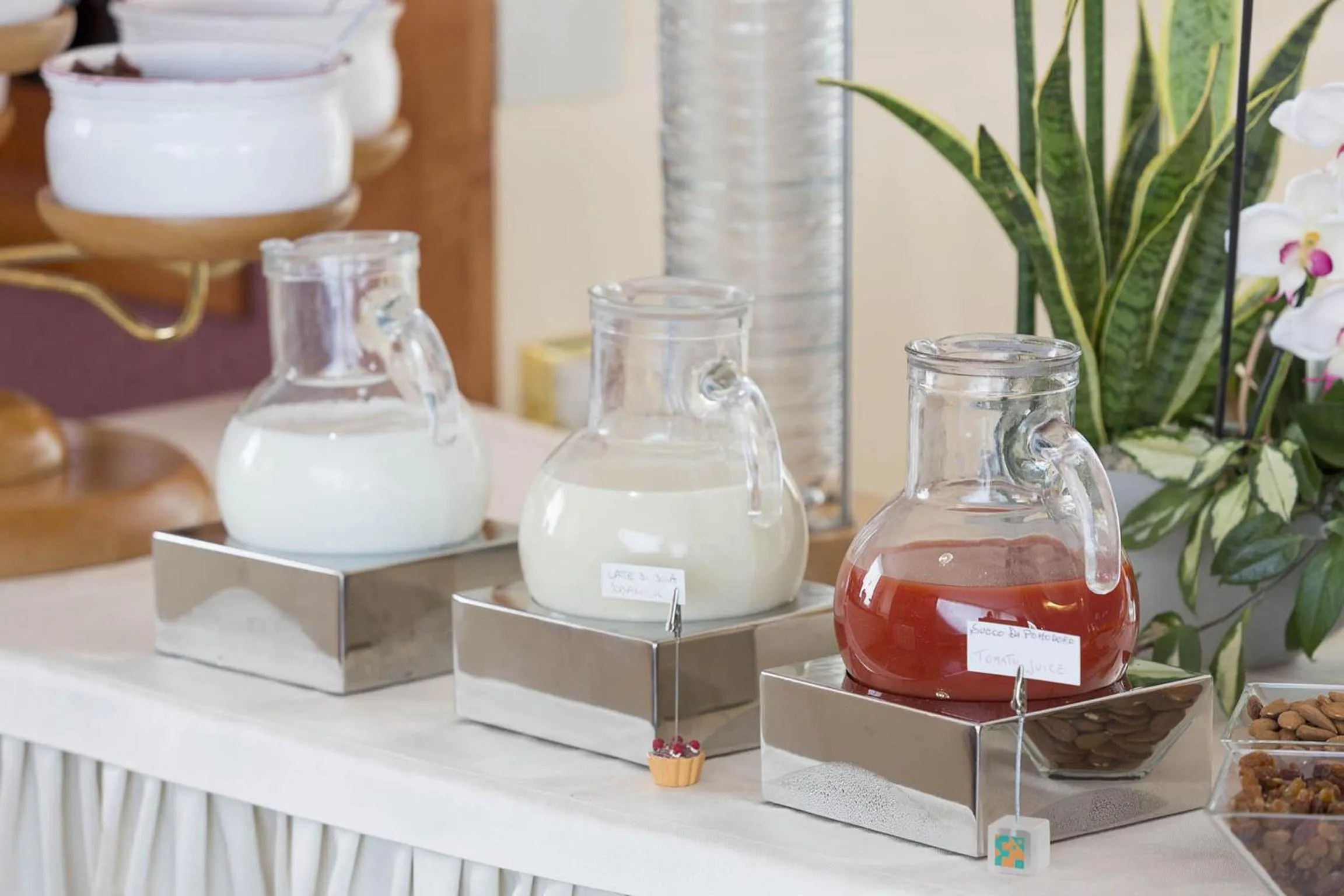 Food and drinks in Hotel Maja