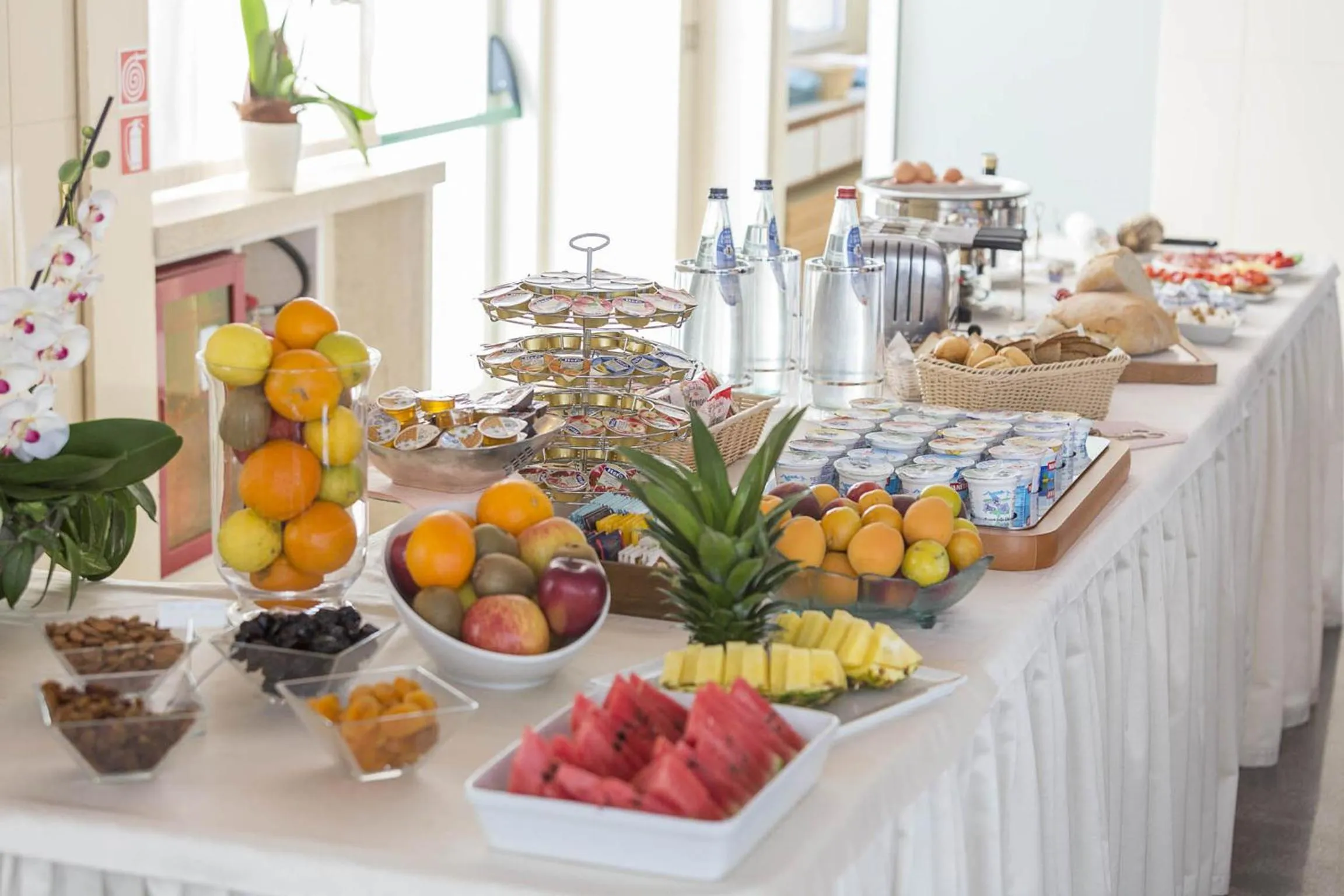 Food and drinks in Hotel Maja