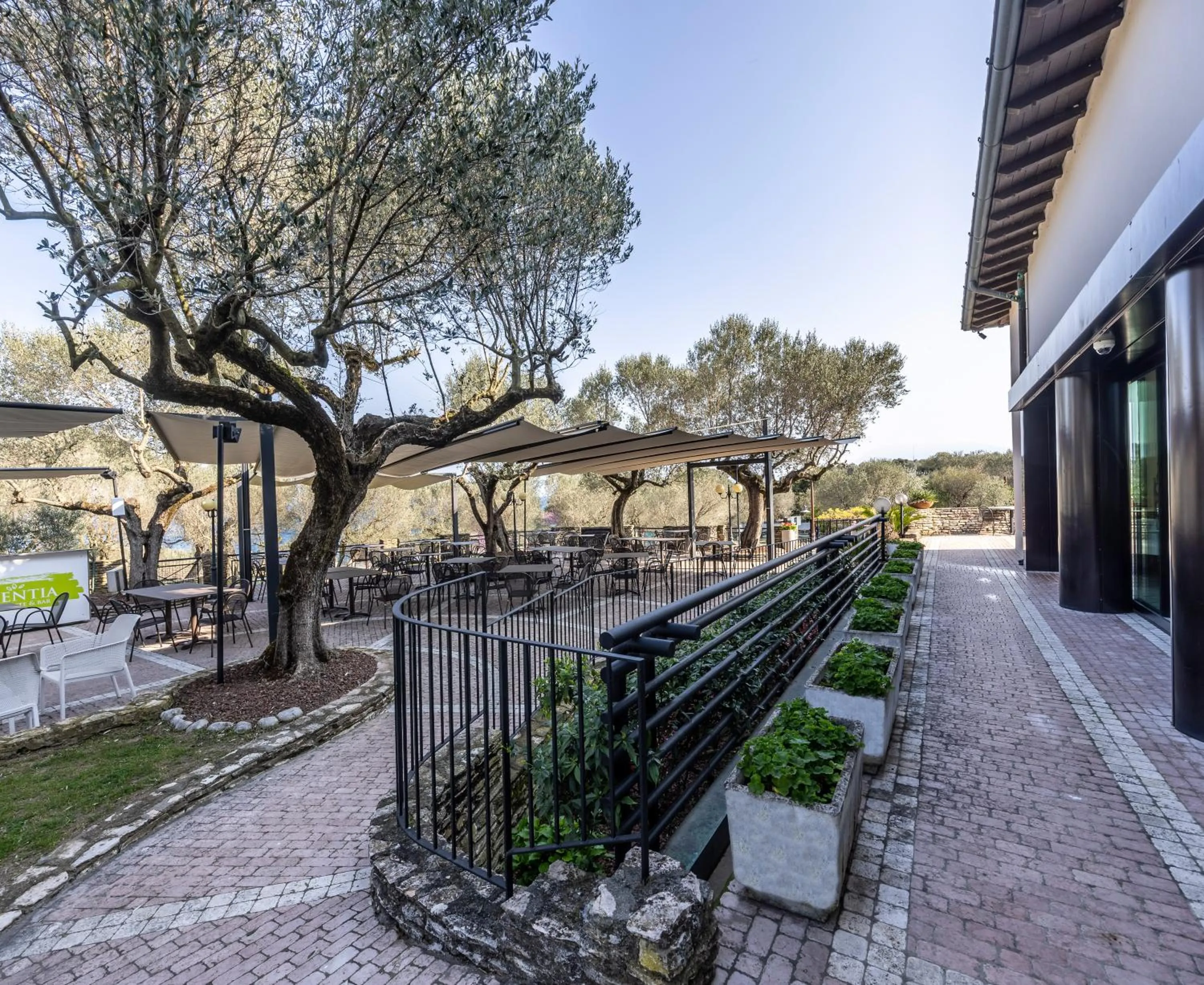 Restaurant/places to eat in Hotel Ideal