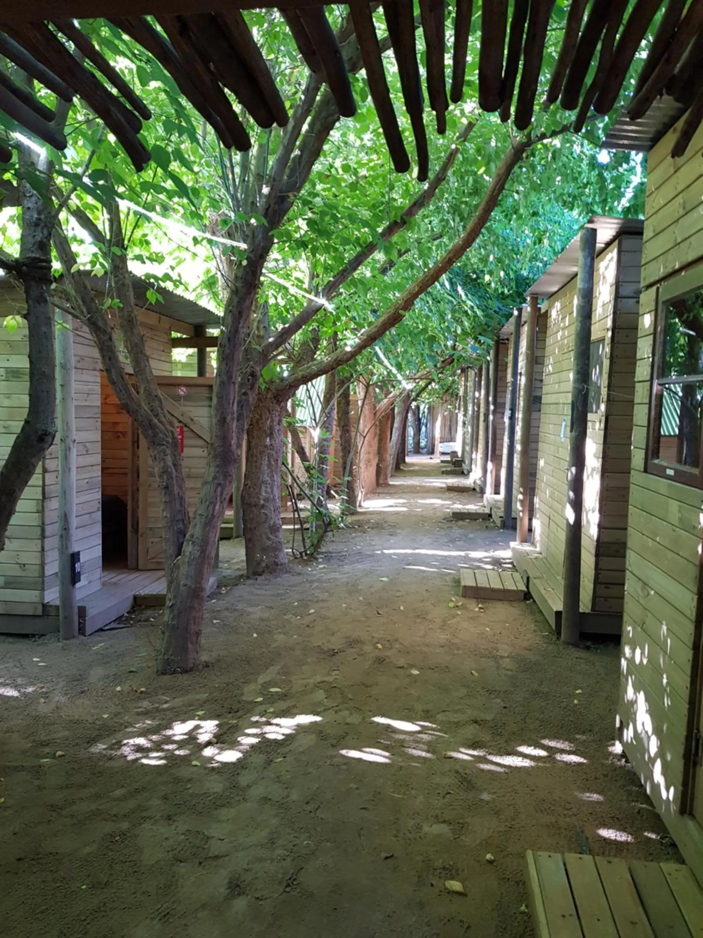 Small Twin Bungalow with Shared Bathroom in The Riverdeck Accommodation and Backpackers