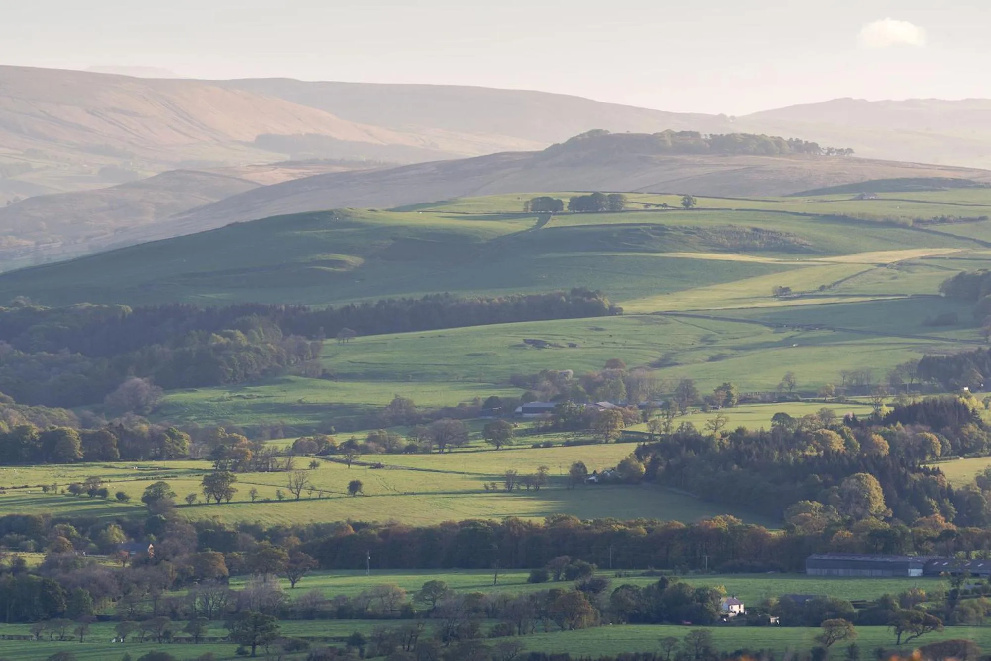 Location in The Avenue Hotel Ltd