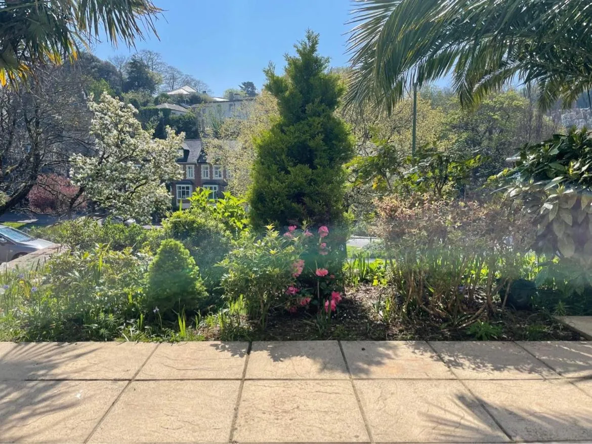 Garden view in Hotel Hudson