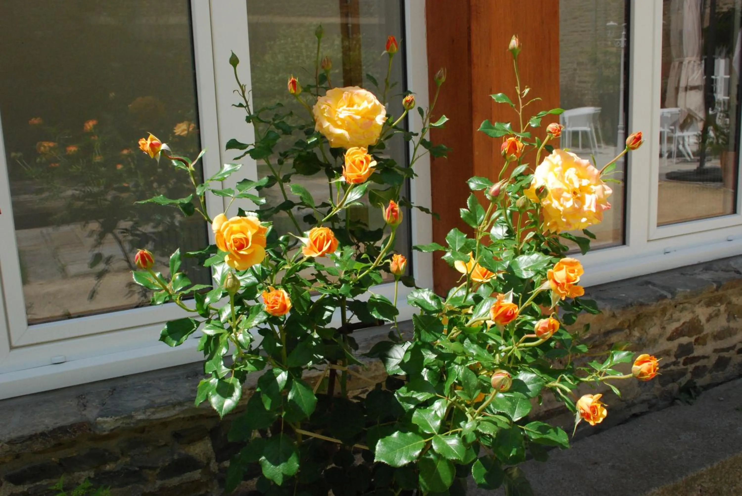 Garden in Hôtel Victor Hugo