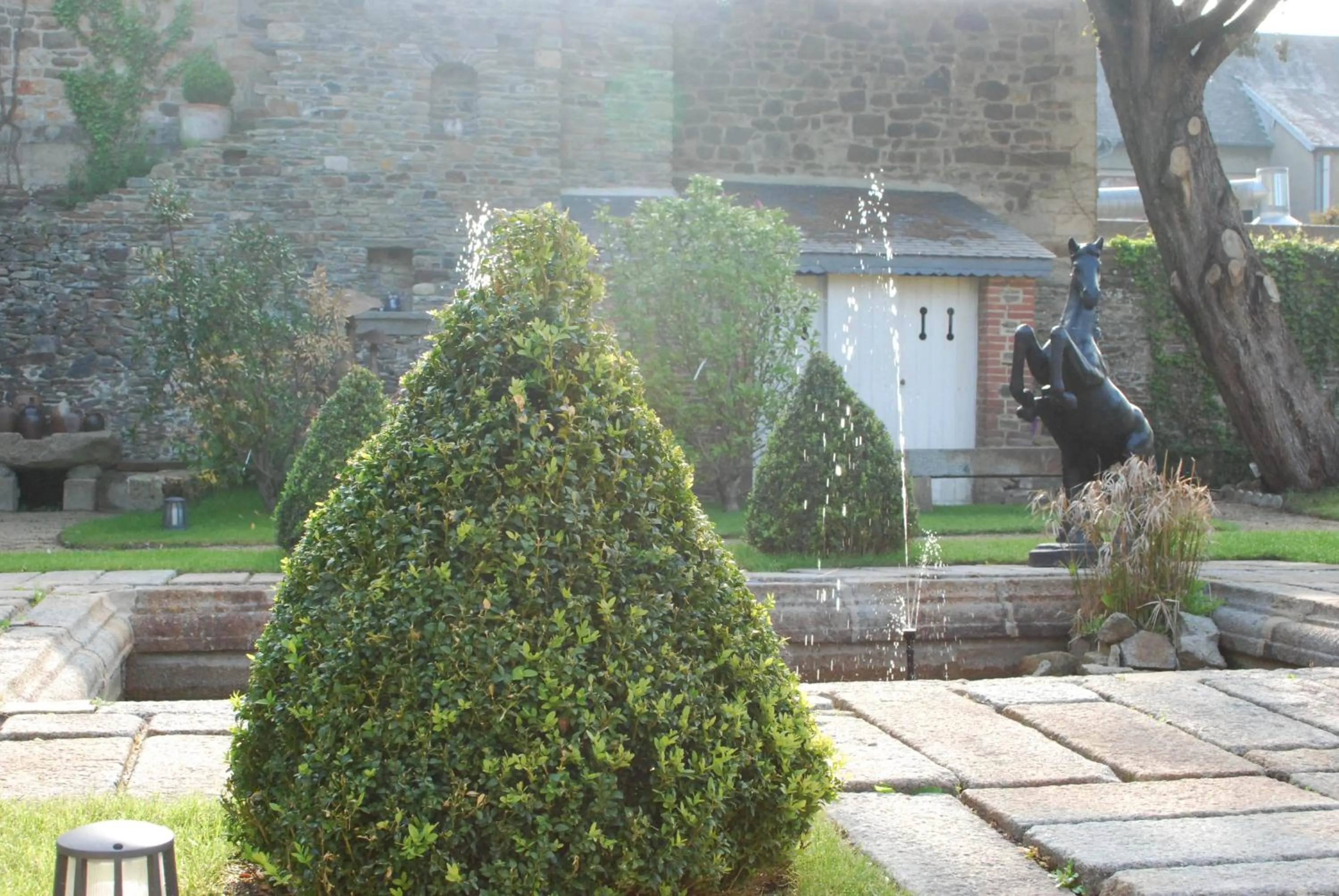 Garden in Hôtel Victor Hugo