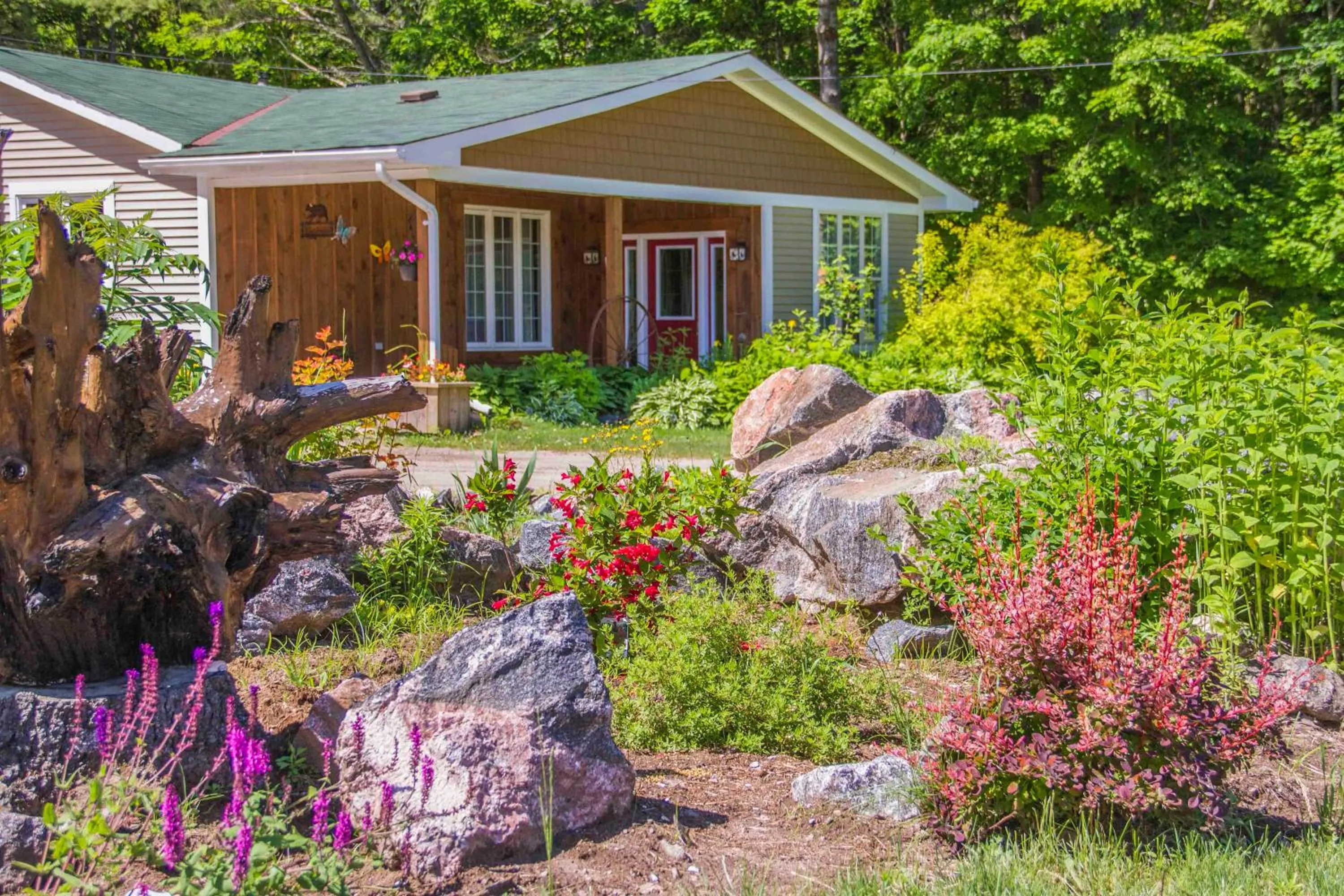 Bear & Butterfly Bed and Breakfast