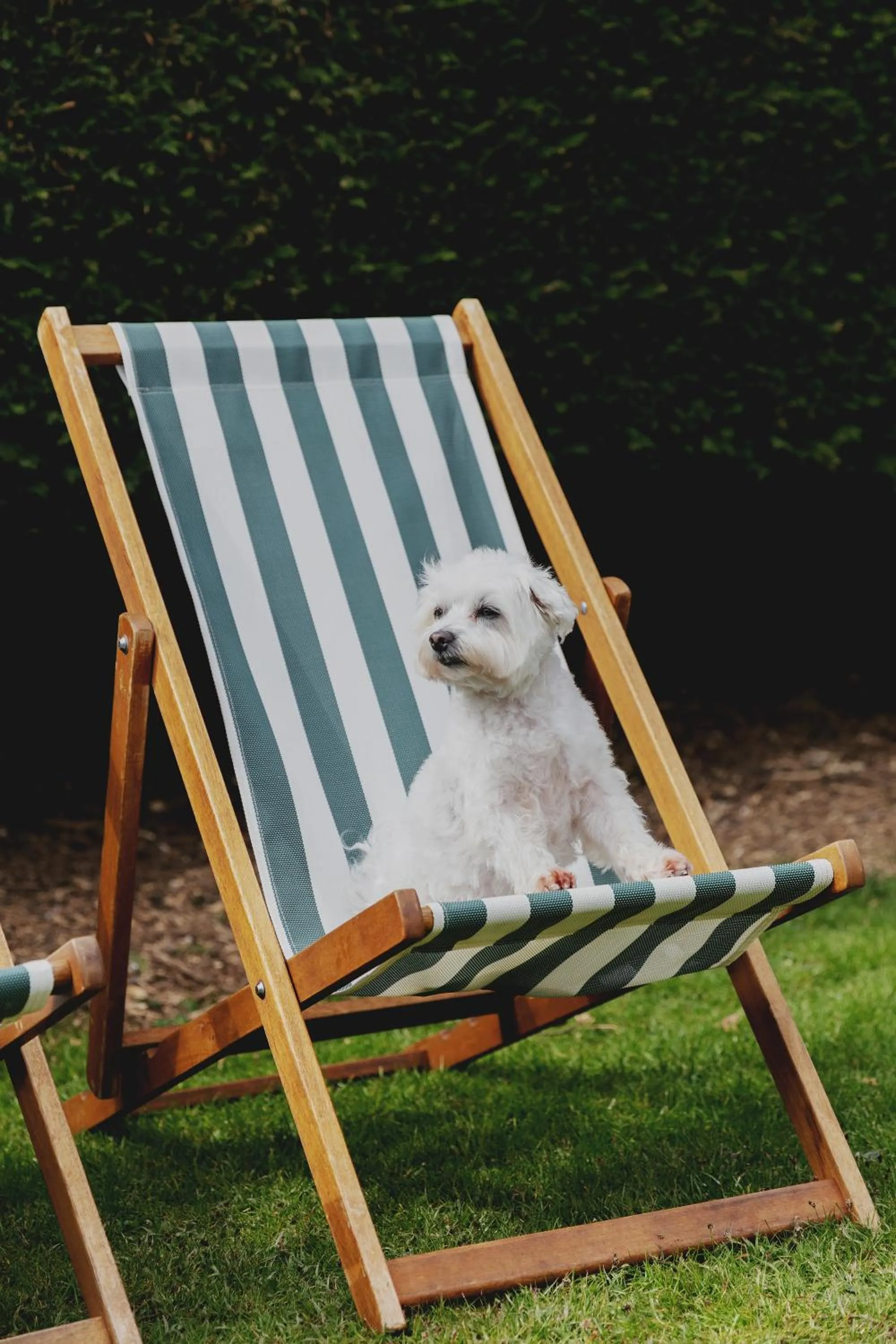 Garden in The Queens Hotel