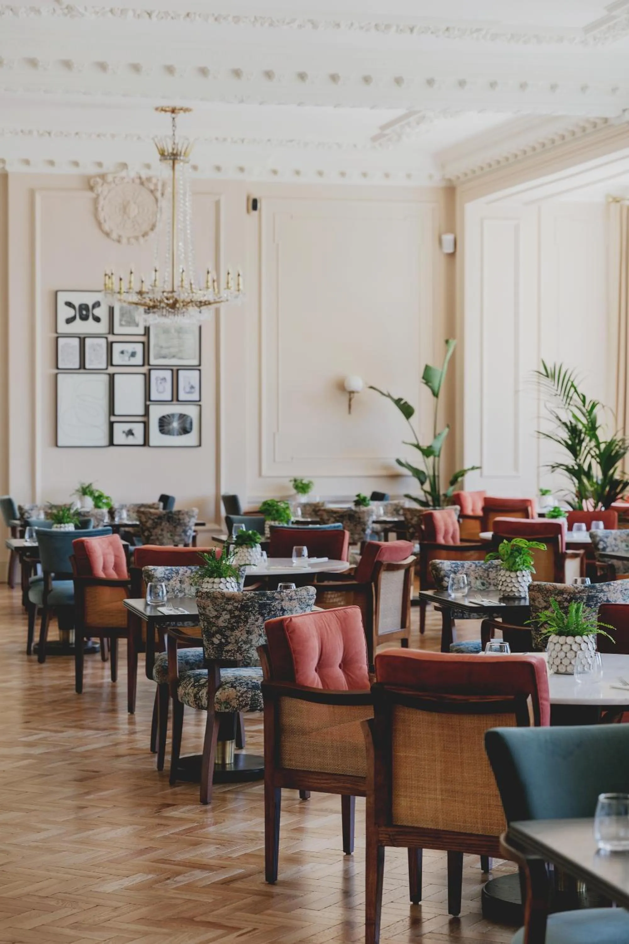 Restaurant/places to eat in The Queens Hotel