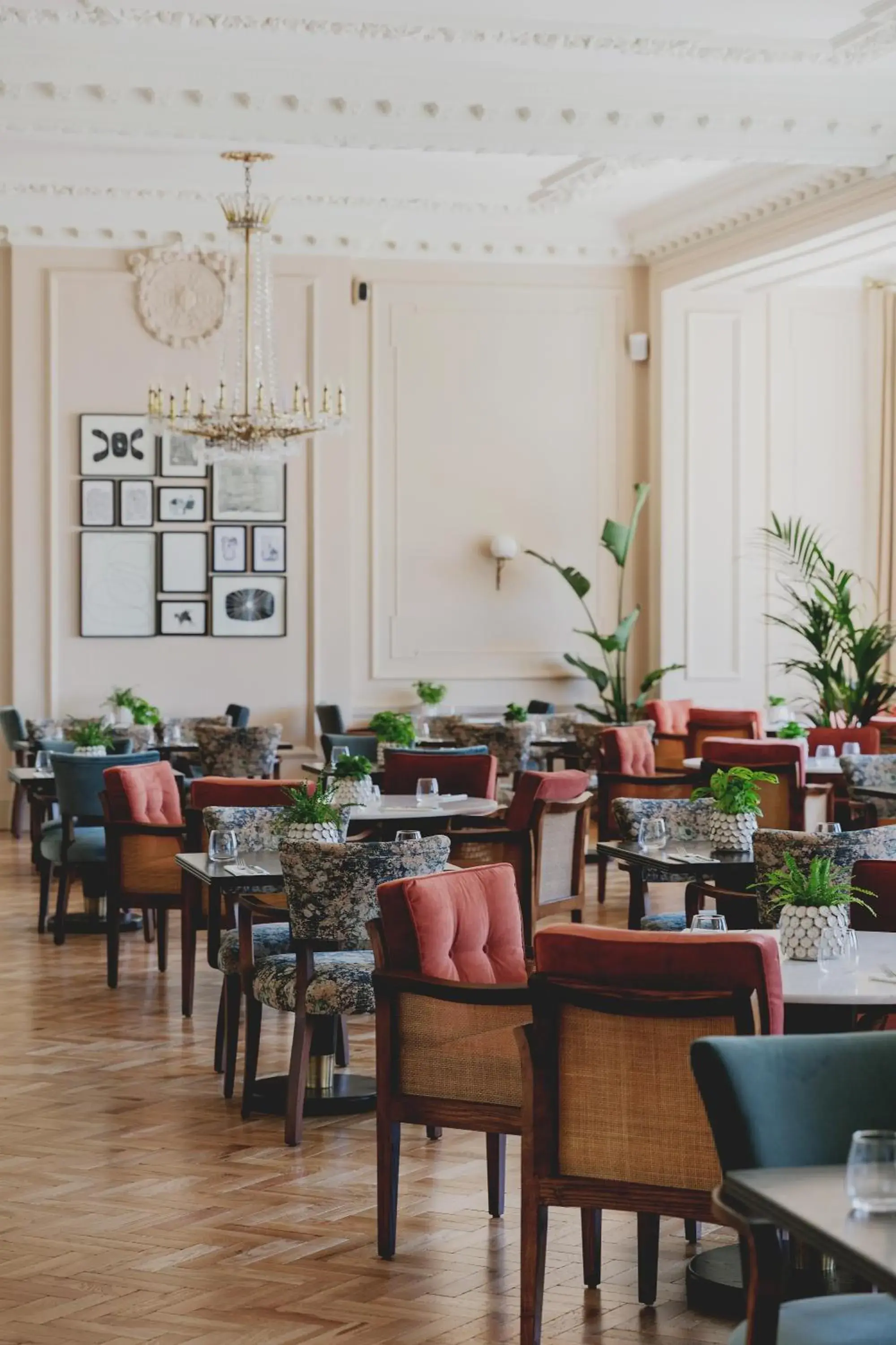 Restaurant/places to eat in The Queens Hotel Restaurant/places to eat in The Queens Hotel