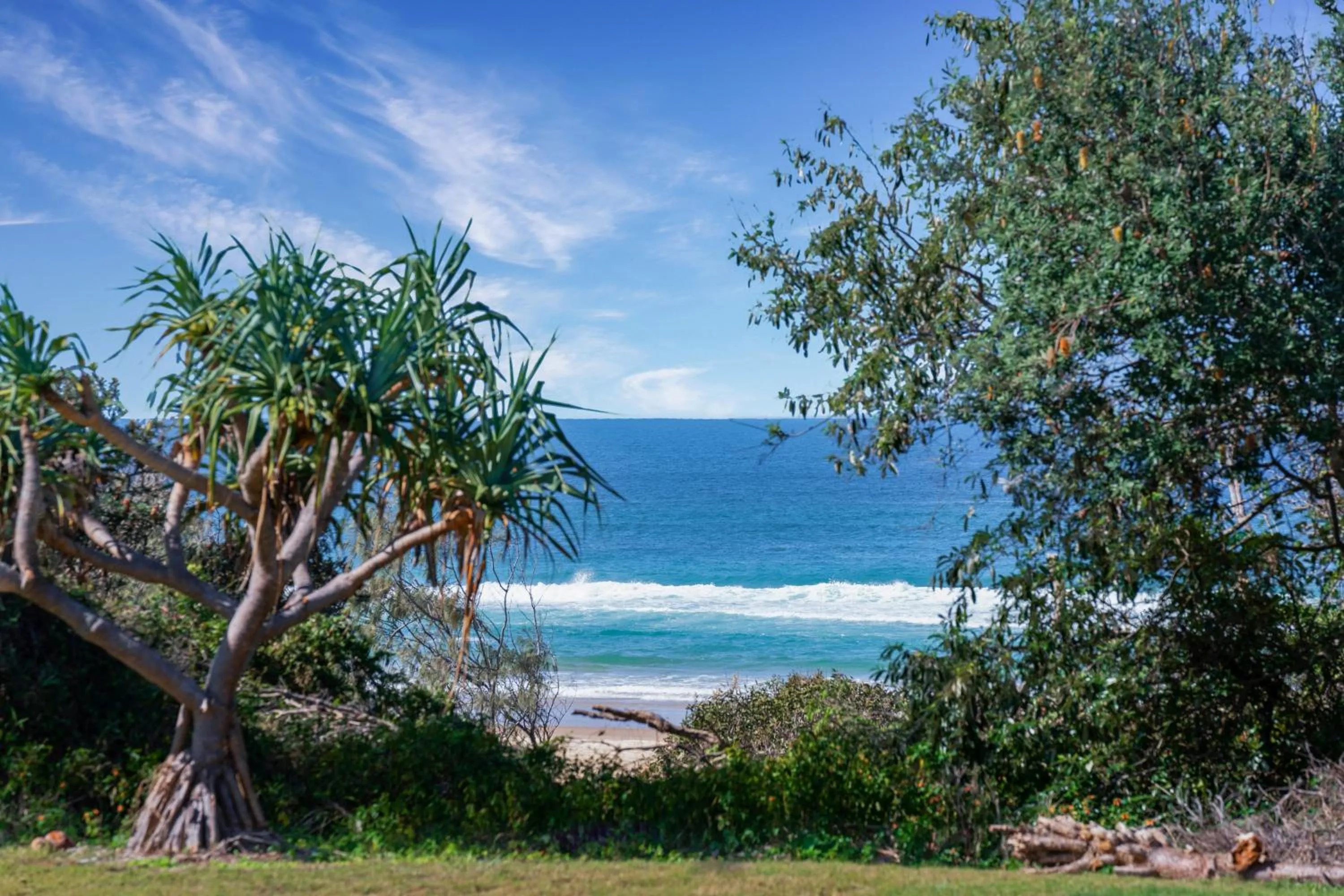 Natural landscape in K'gari Beach Houses