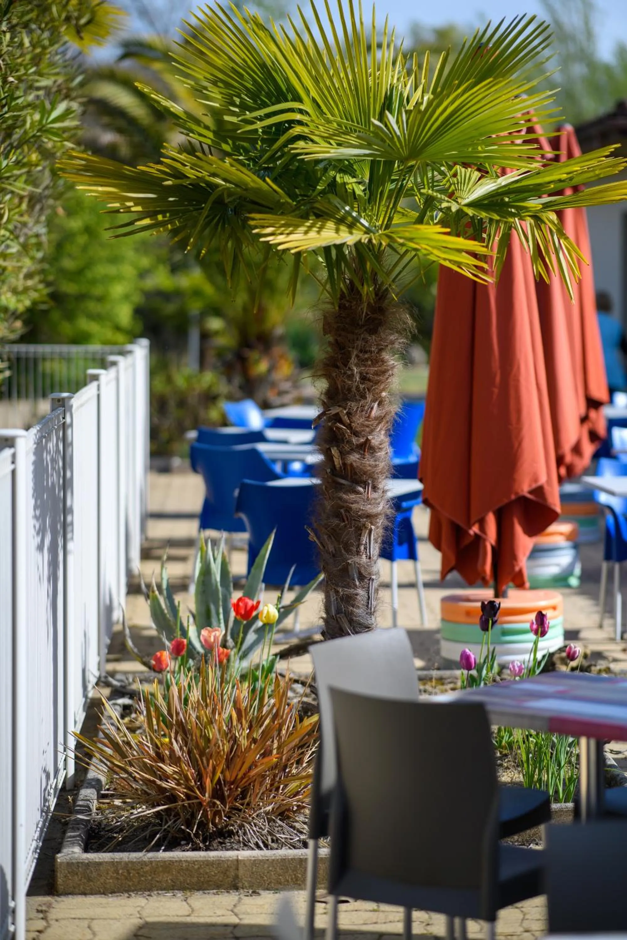 Restaurant/places to eat in Logis Hôtel Restaurant Solenca