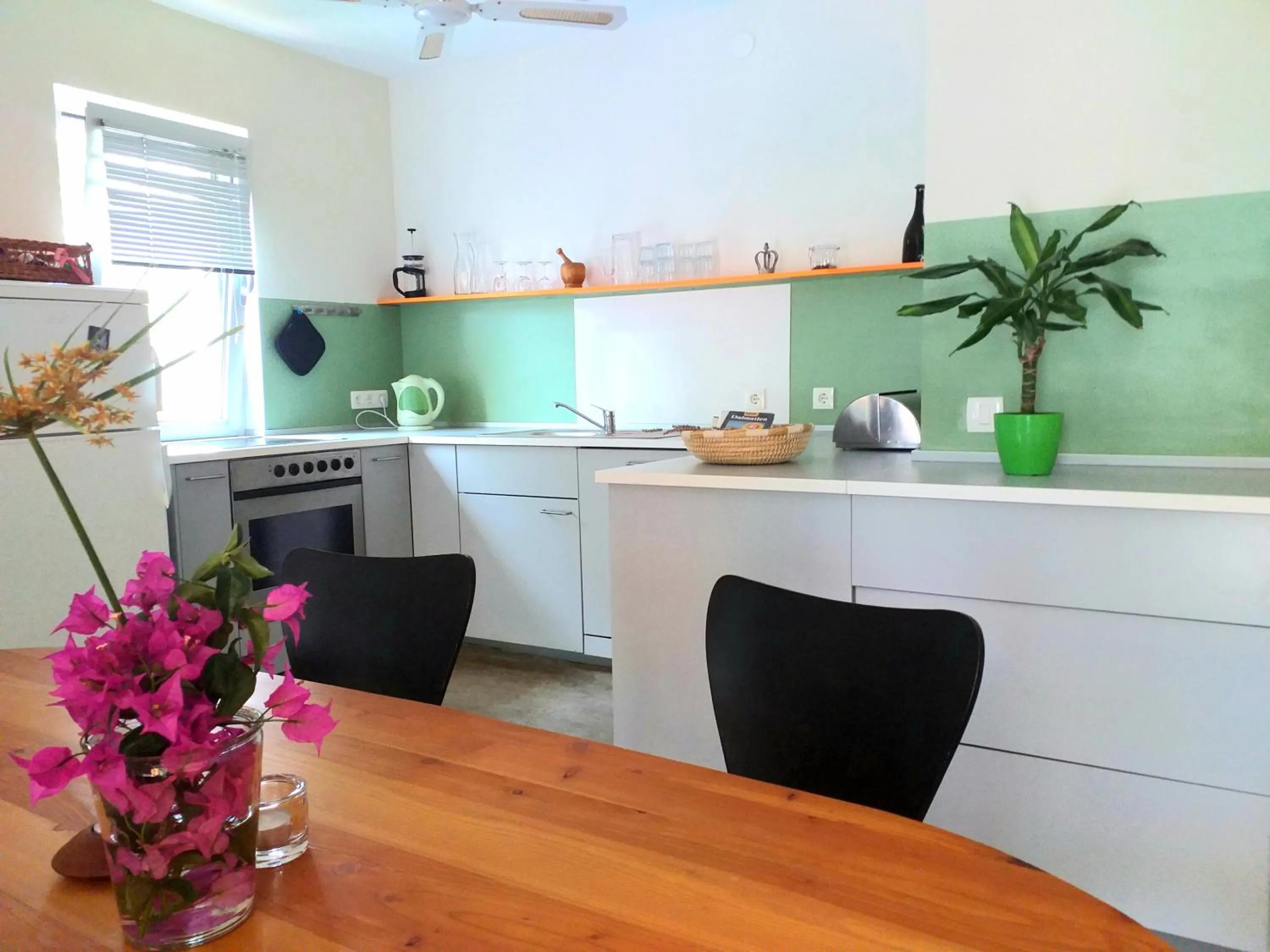 Kitchen or kitchenette in Apartment Kuca Merdzo