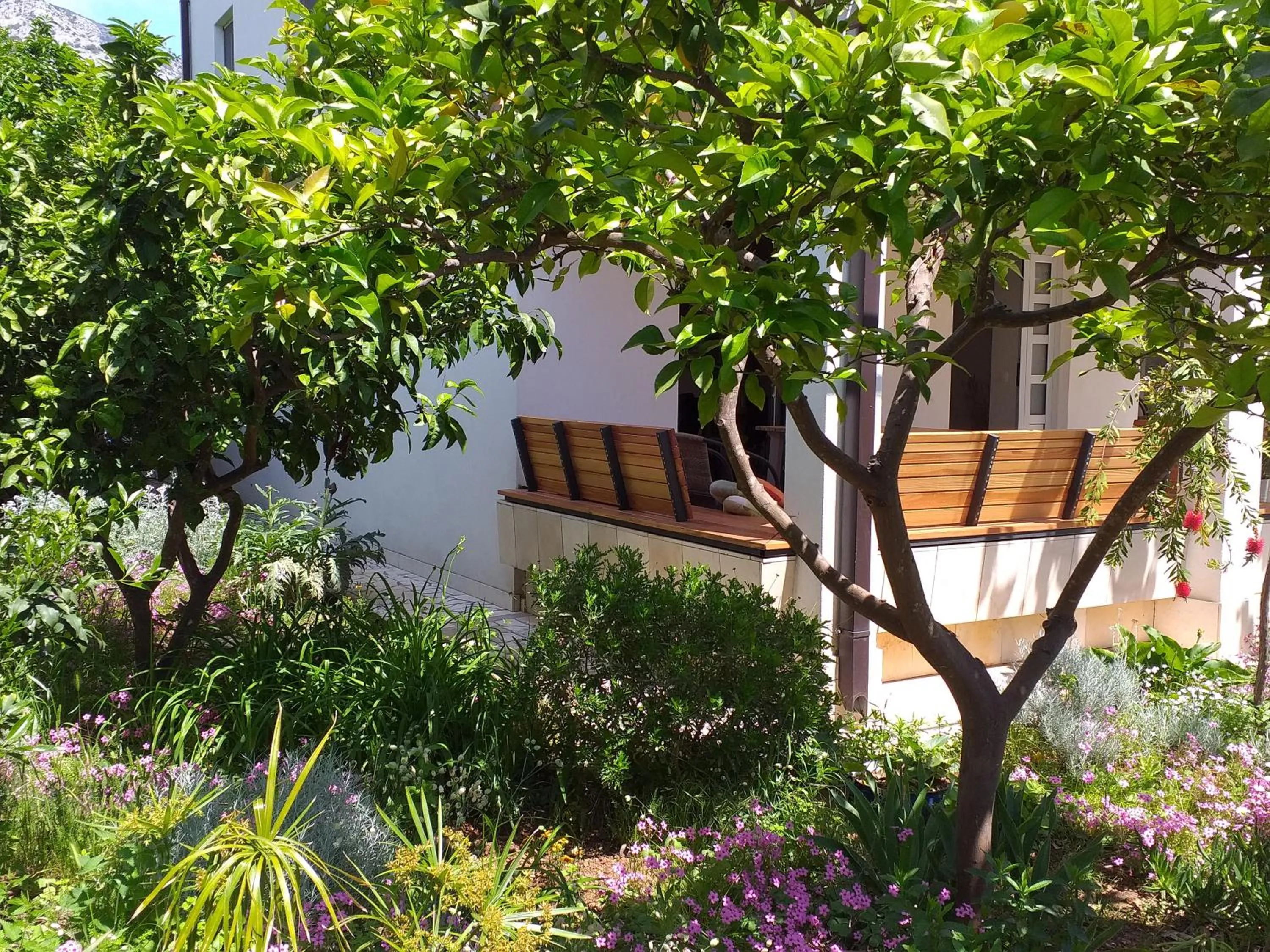 Garden in Apartment Kuca Merdzo