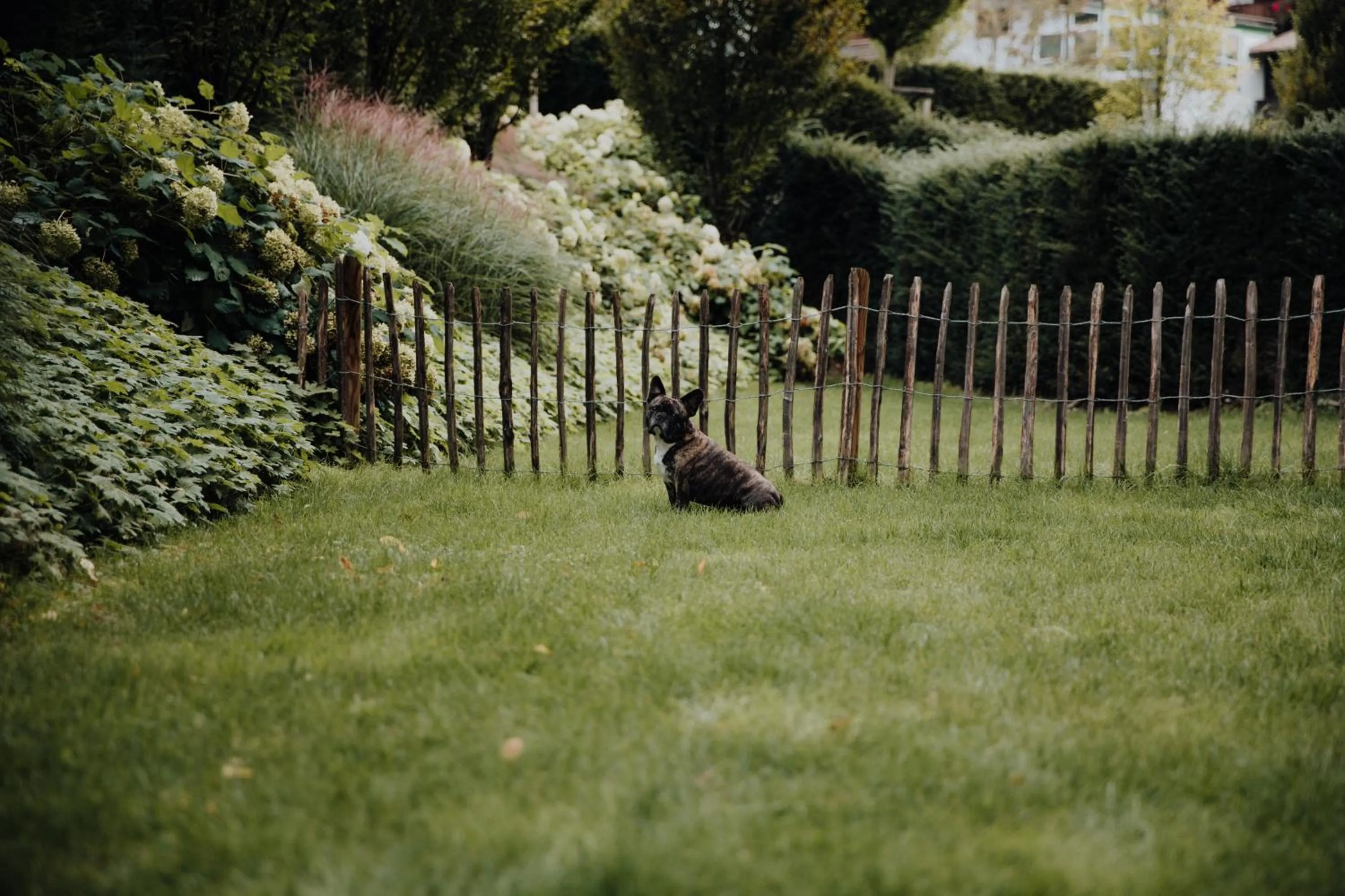 Garden in Kaiserlodge