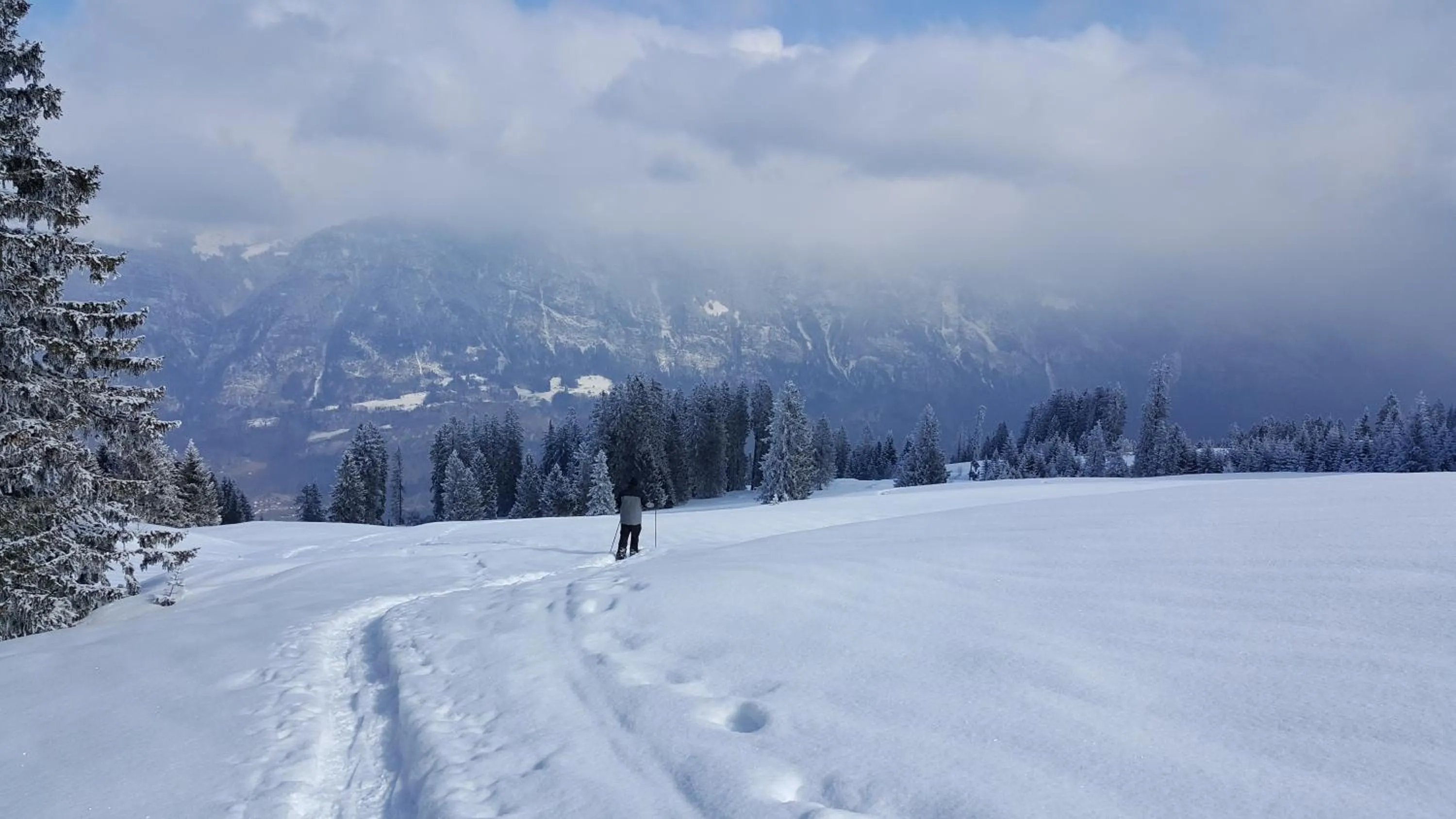 Natural landscape in Berghotel Schonhalden