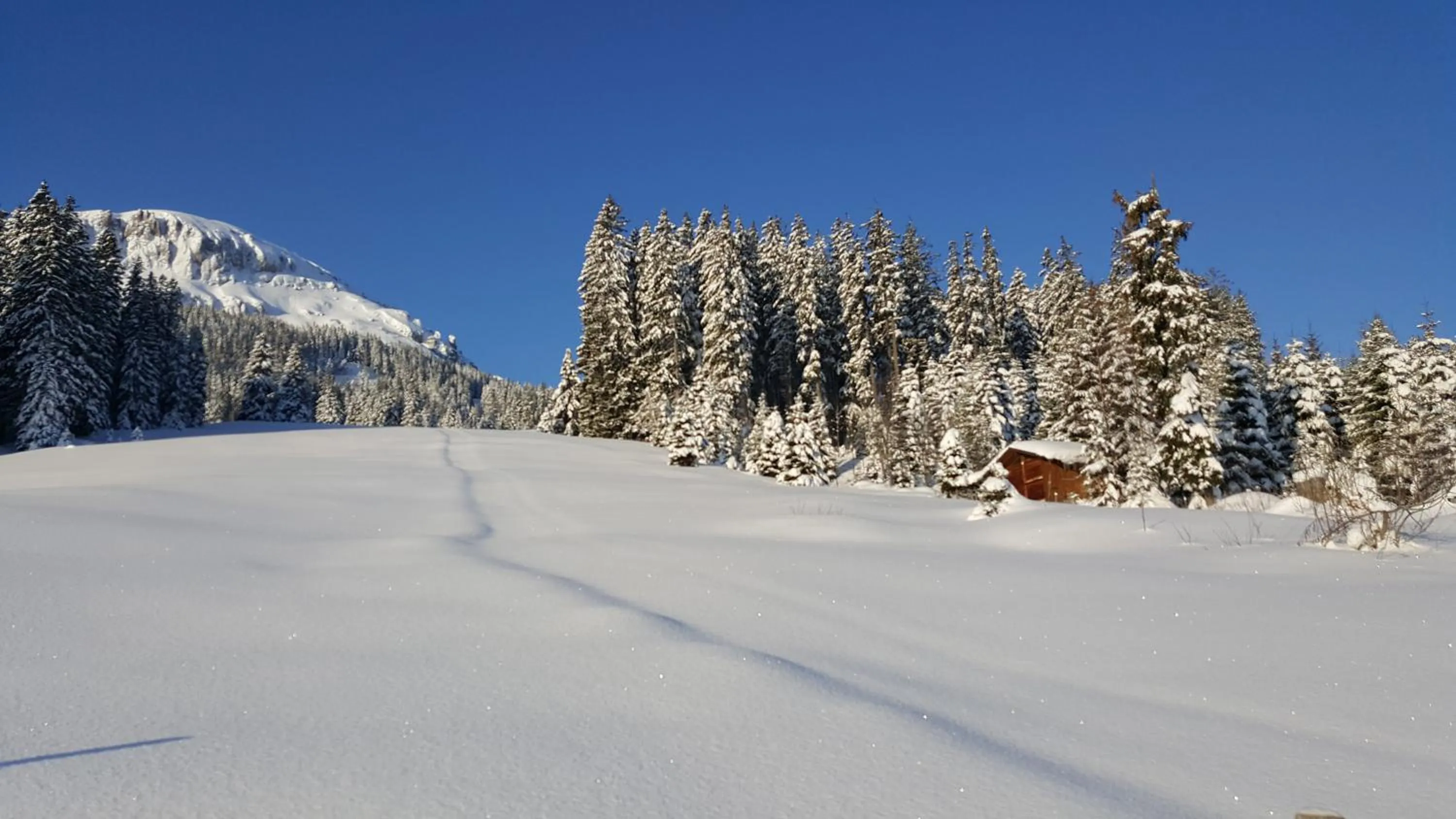 Other in Berghotel Schonhalden