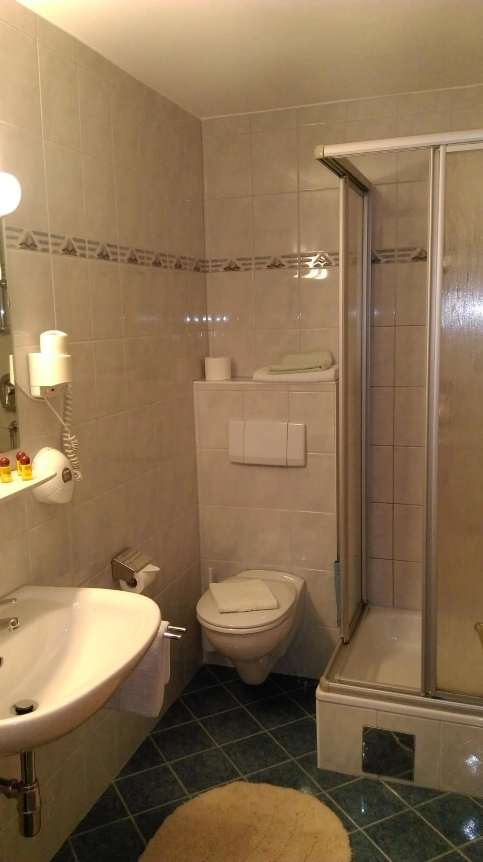 Shower in Gasthof Zum Stollhofer