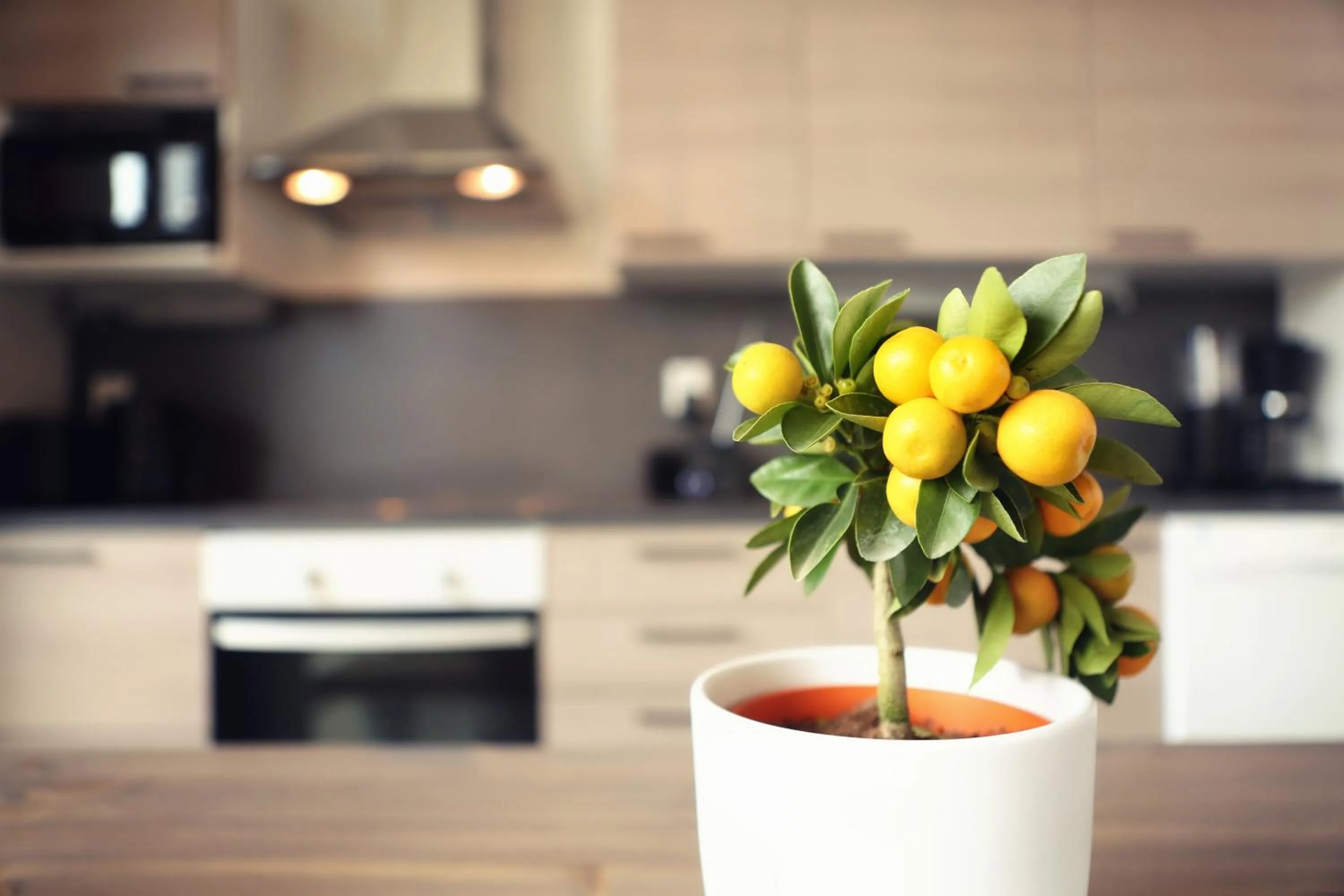 Kitchen or kitchenette in Nallikari Seaside Villas