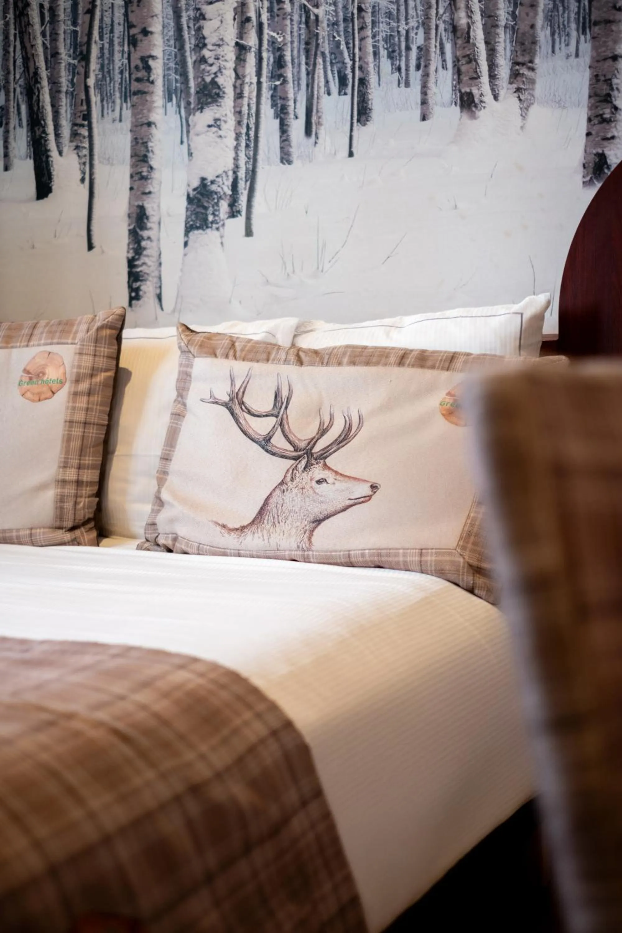 Facility for disabled guests, Bed in Green hotels Confort Paris 13