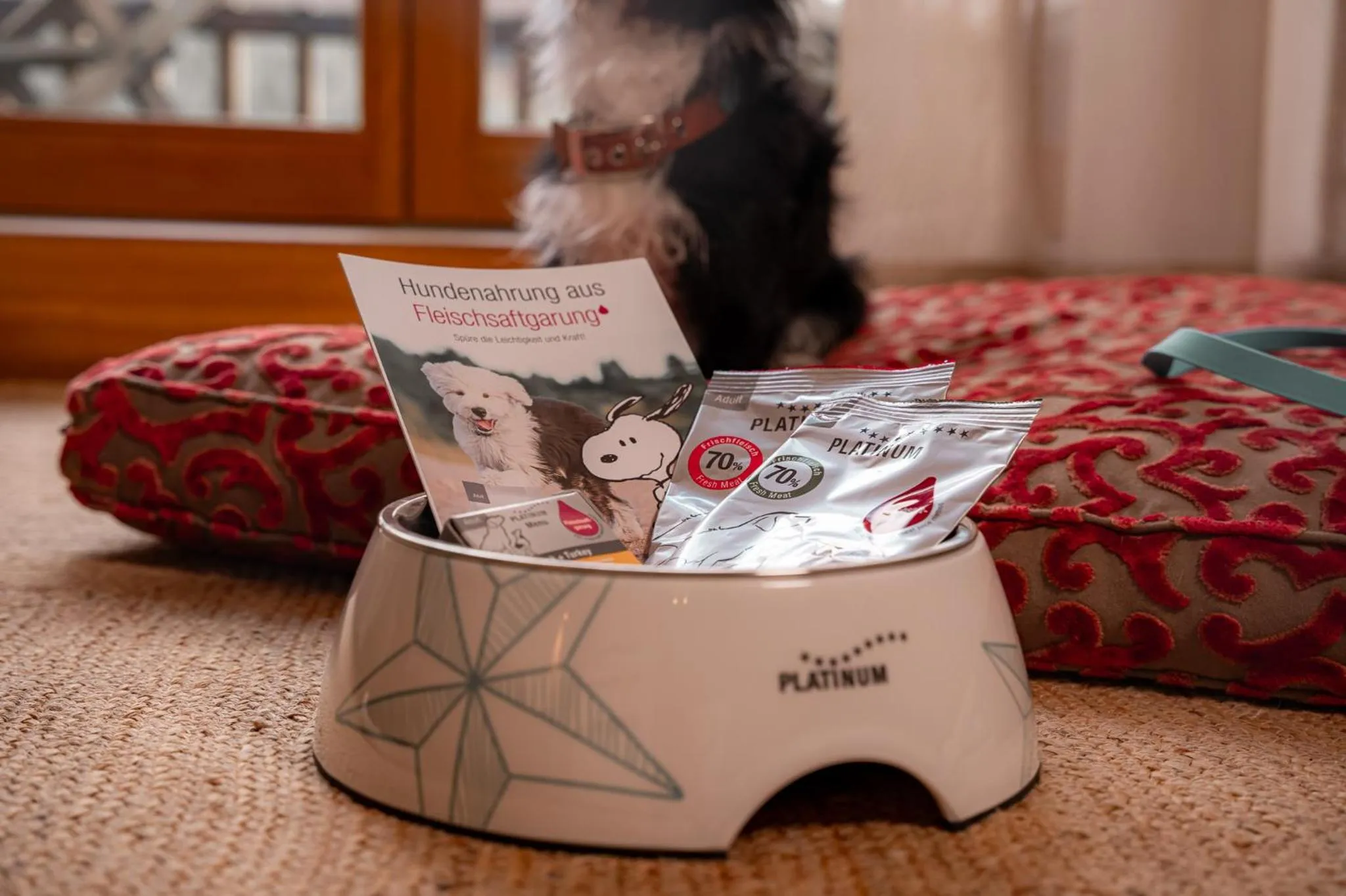 Pets in Marienhöh - Hideaway & Spa