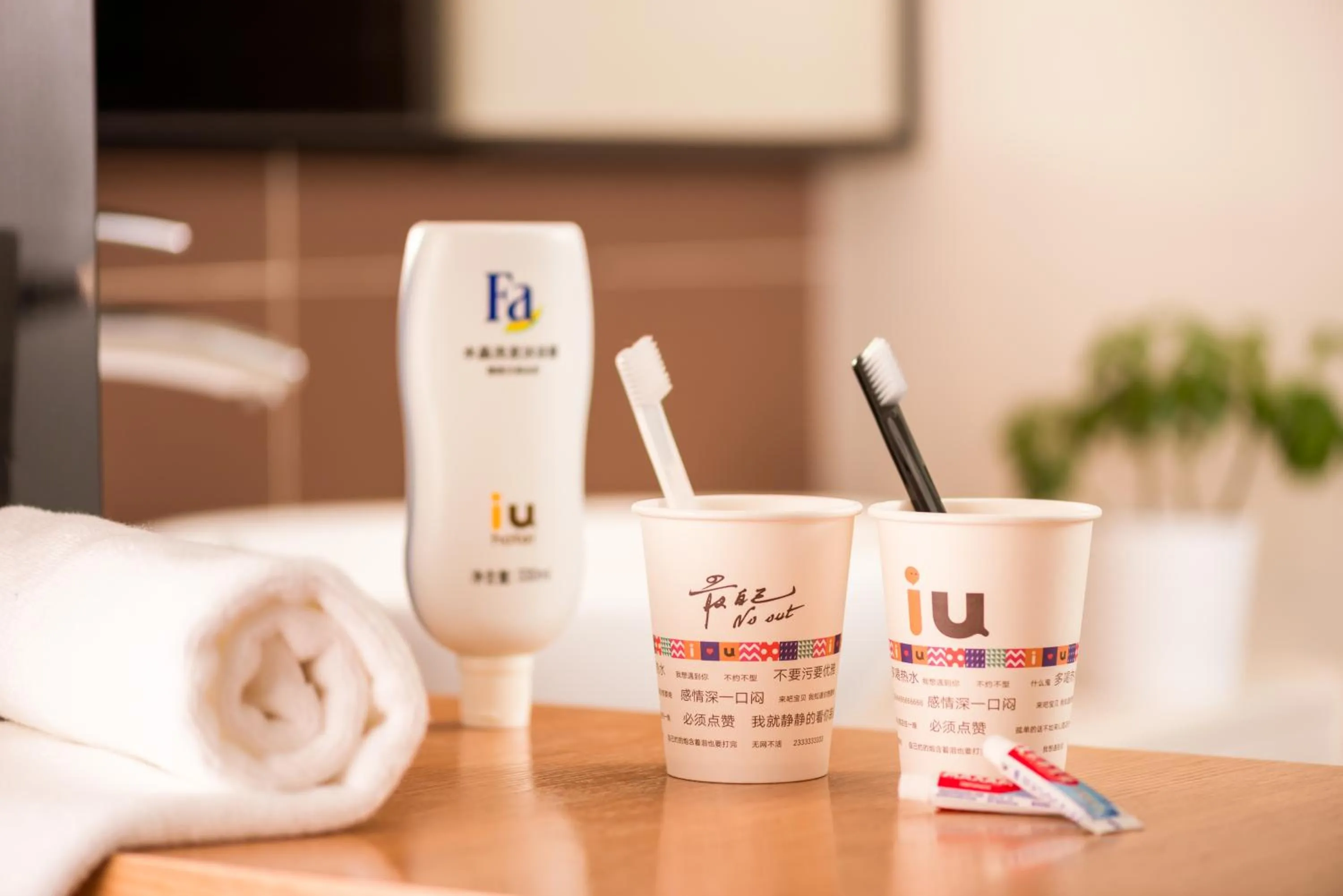 IU Hotel Shanwei Haifeng Bus Terminal