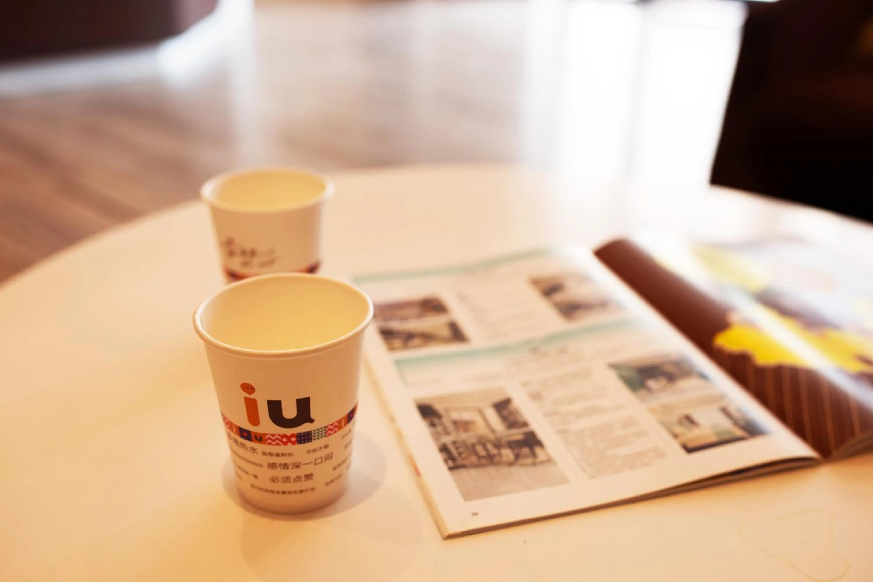 IU Hotel Ruoyang Yiyang Wenhua Road
