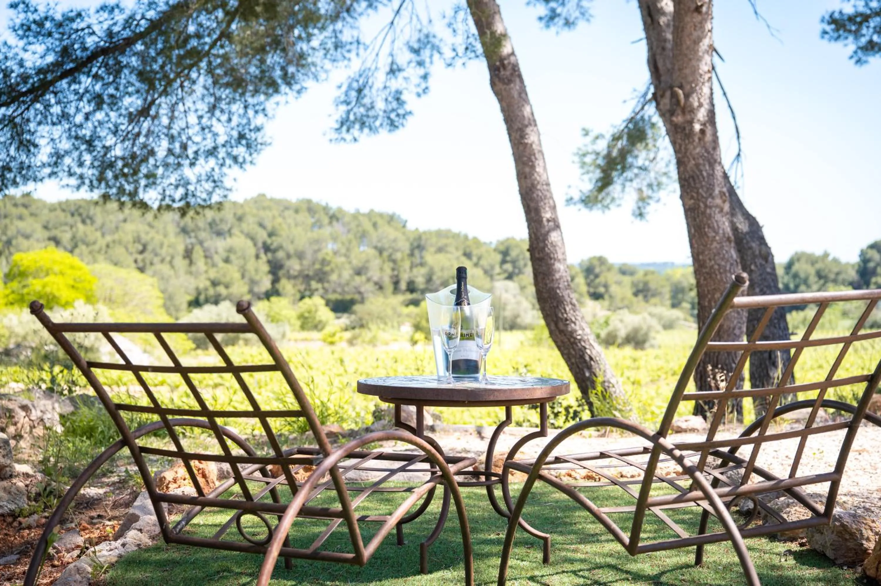 Natural landscape in Hotel Les Rocailles